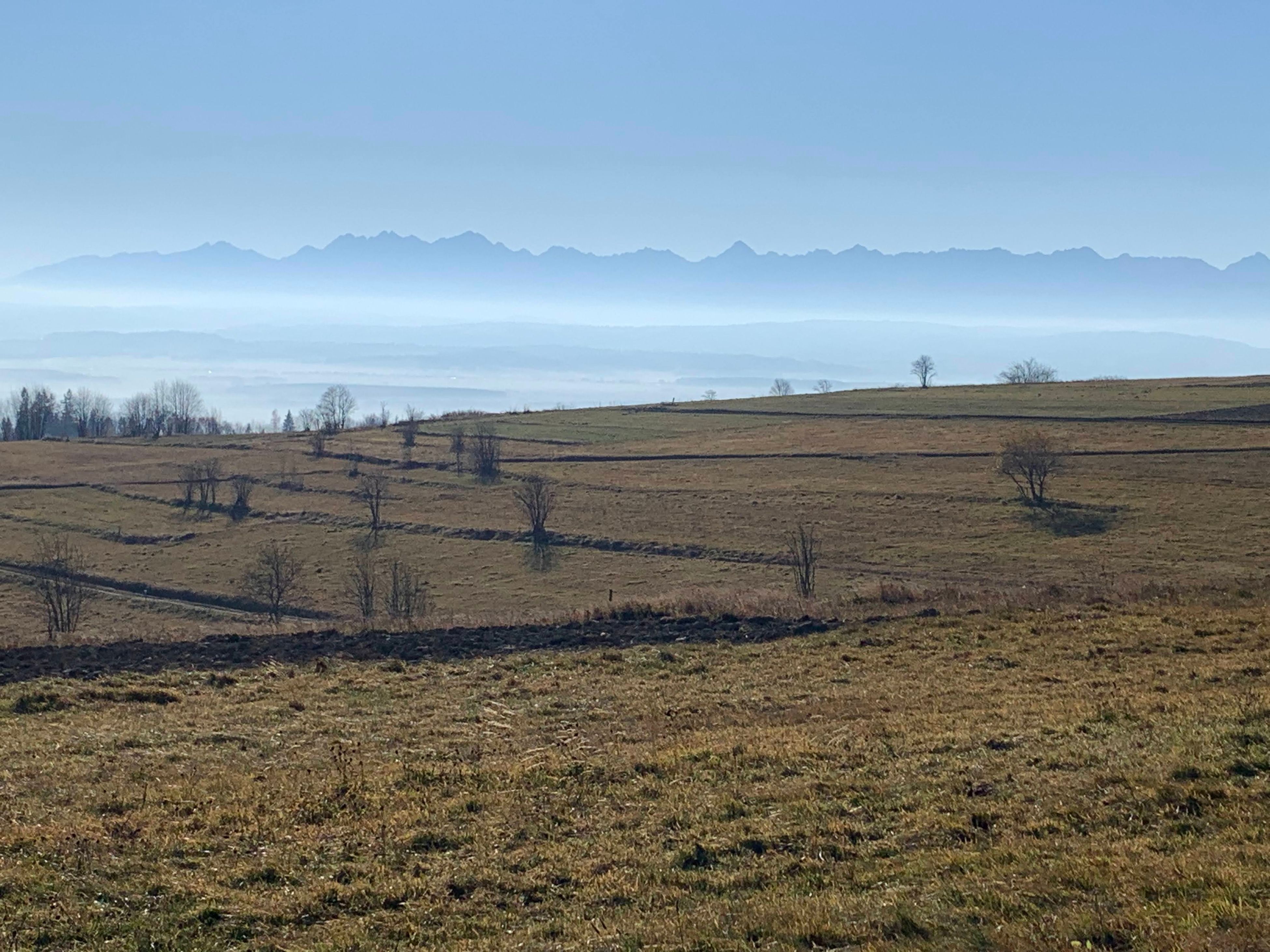 Widok z Bukowińskiego Wierchu / View from Bukowiński Wierch