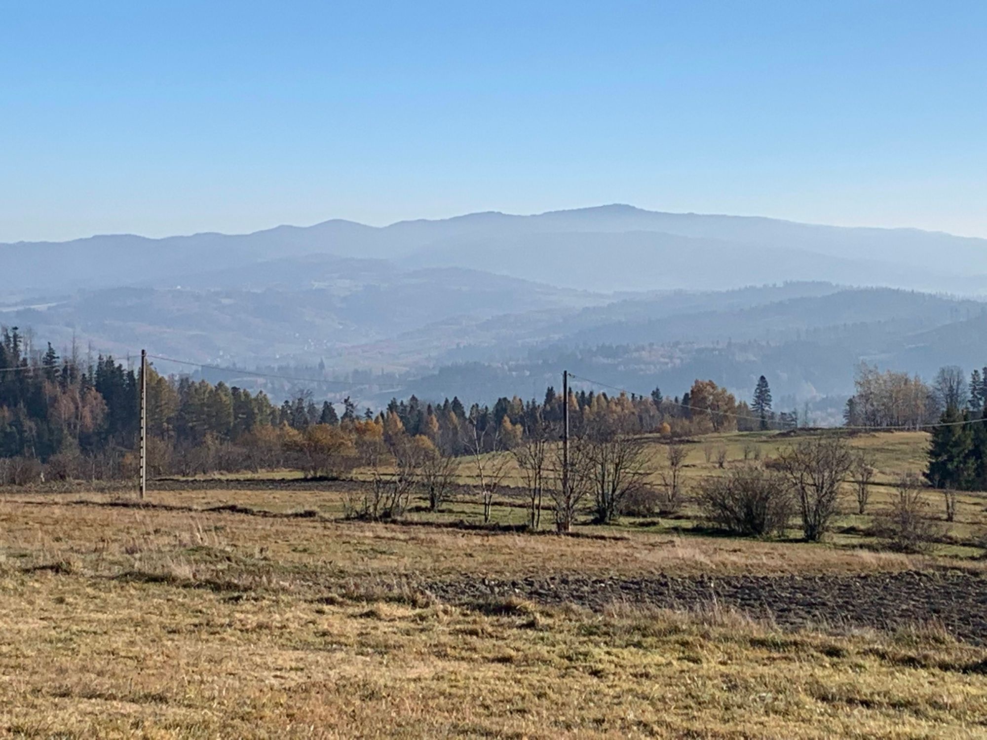 Widok z Bukowińskiego Wierchu / View from Bukowiński Wierch