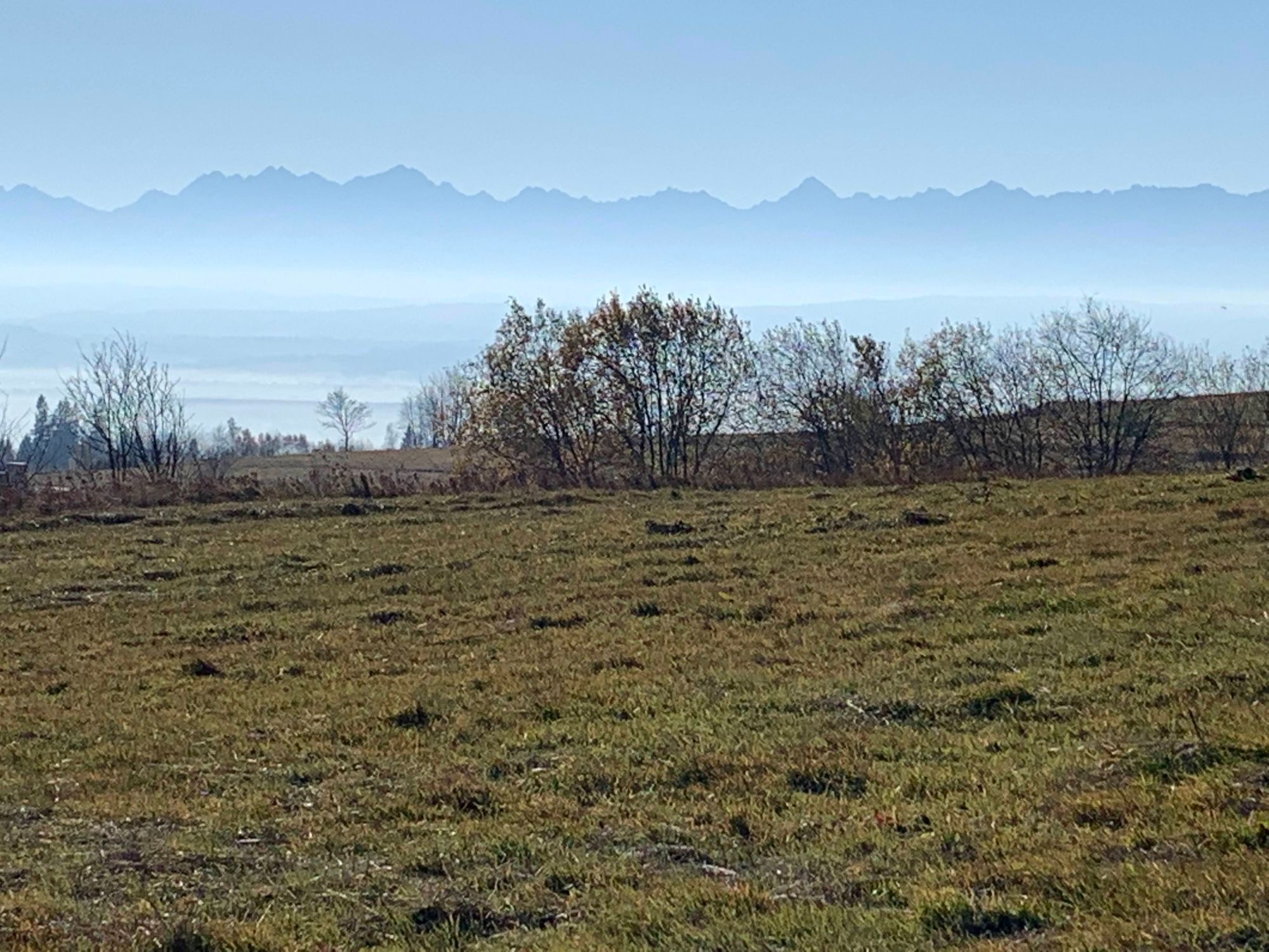 Widok z Bukowińskiego Wierchu / View from Bukowiński Wierch