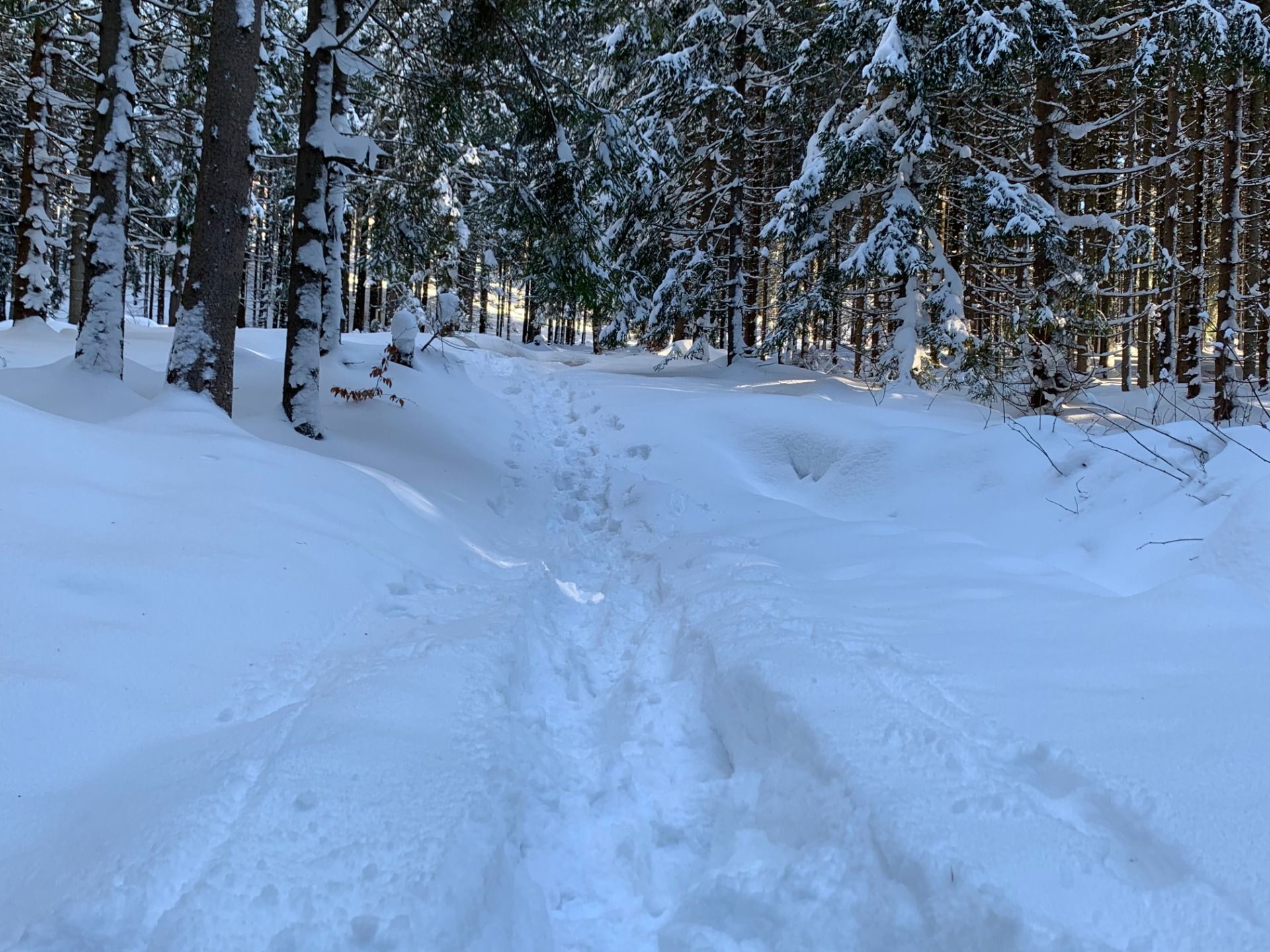 Na szlaku / On the trail