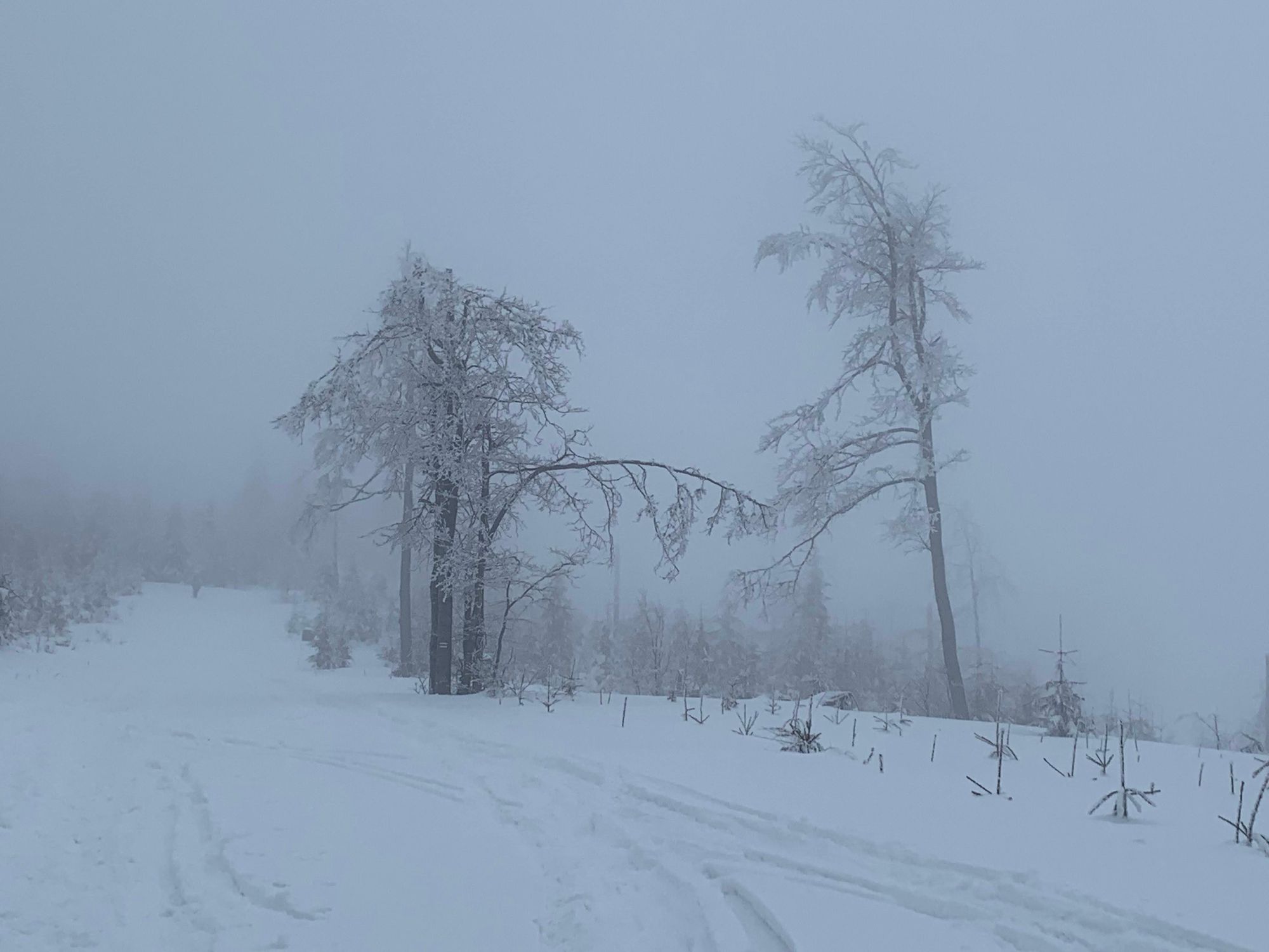 Na szlaku / On the trail