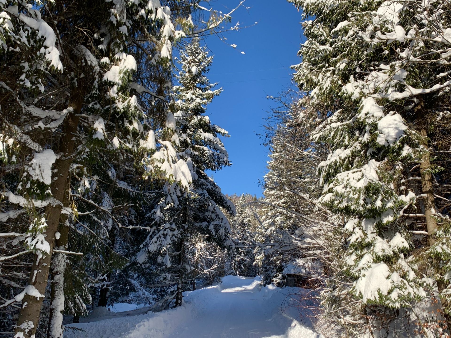 Na szlaku / On the trail