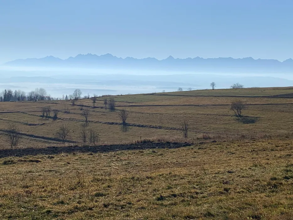 Widok z Bukowińskiego Wierchu