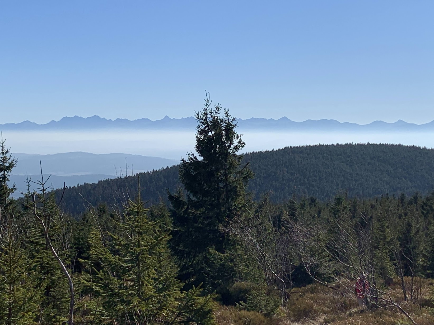 Widok z Policy na Tatry