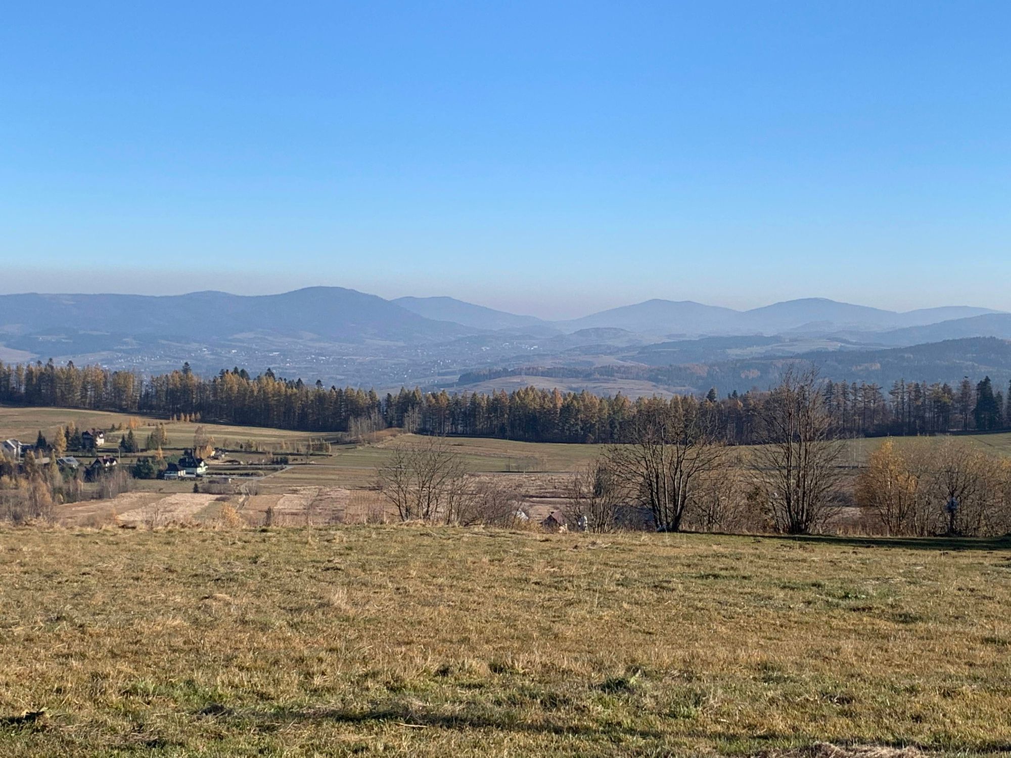 Widok z Bukowińskiego Wierchu