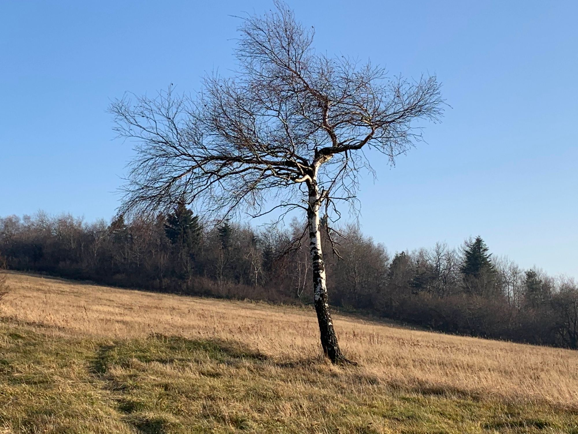 Tu można zapomnieć wszystko....