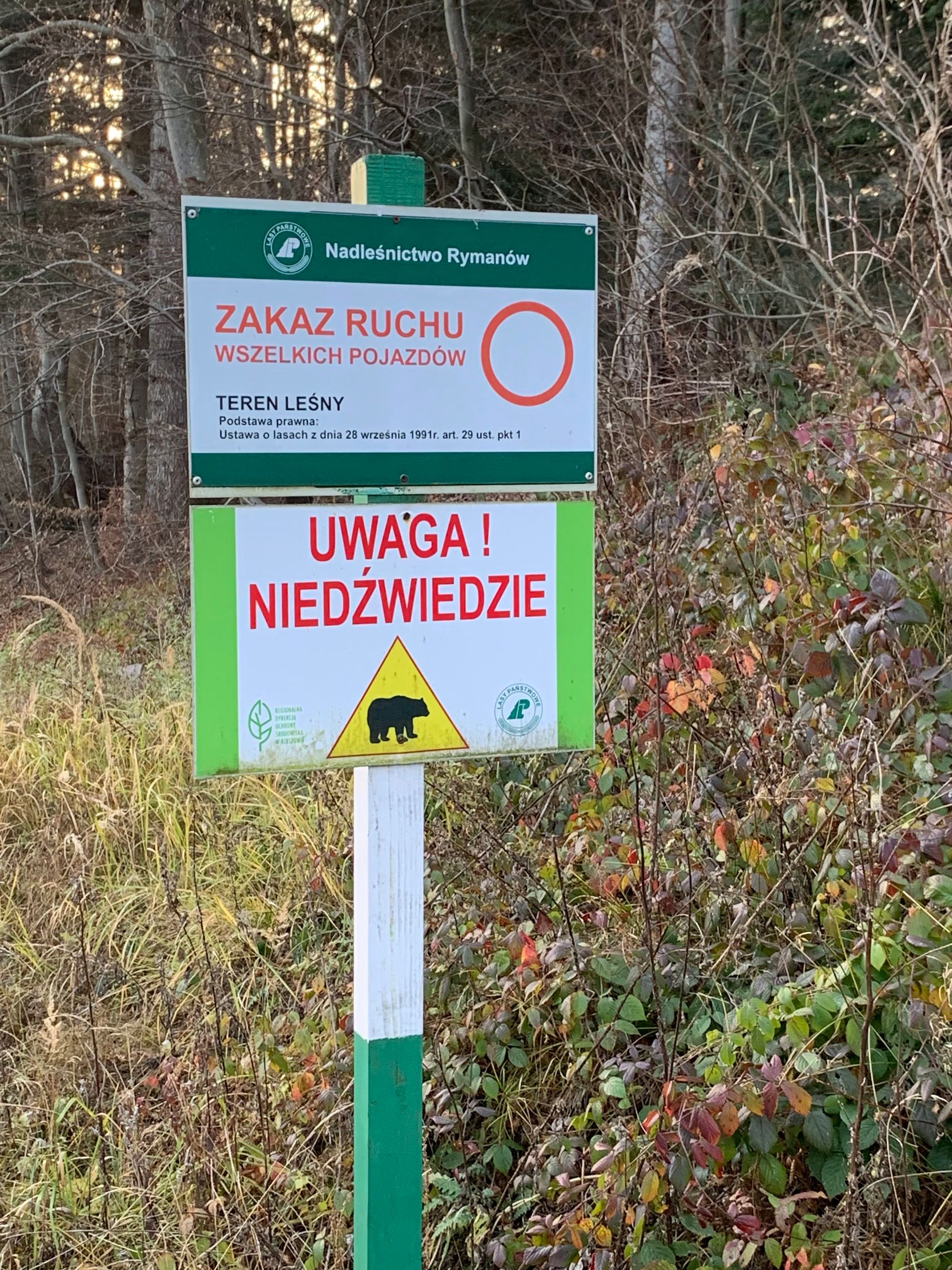bez komentarza...
