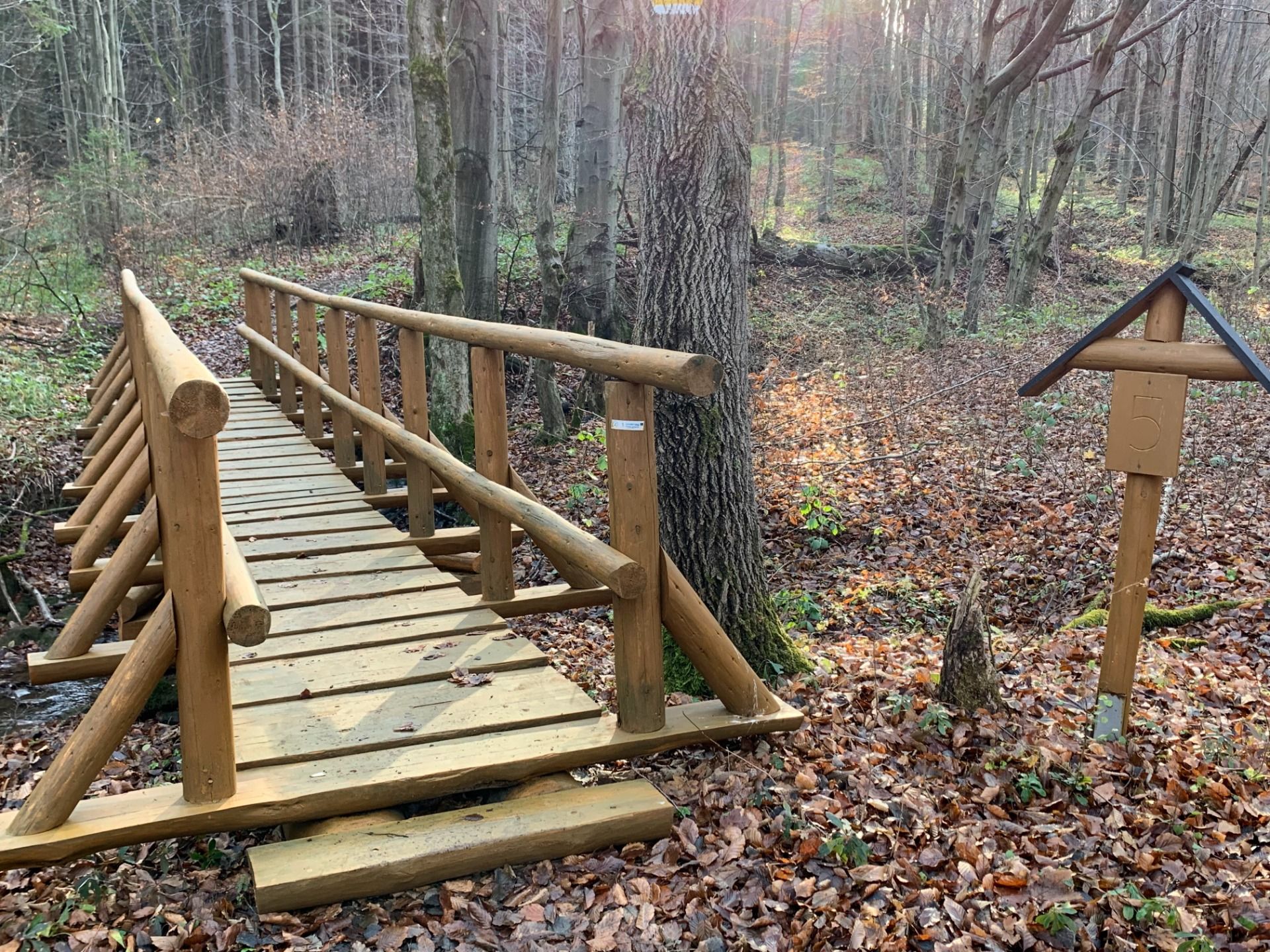 Magurski Park Narodowy