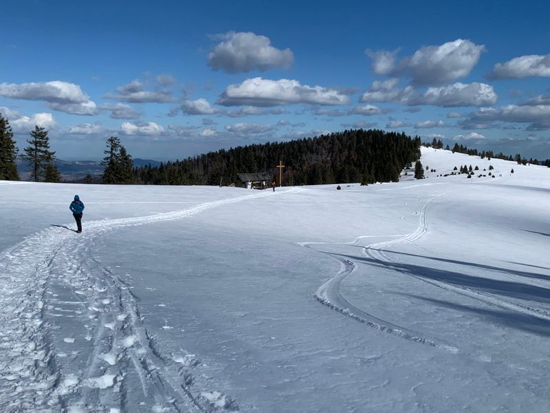 Wichry niespokojne potargały las (Turbacz z Koninek, Gorce). Hiking between two windstorms [PL / EN]