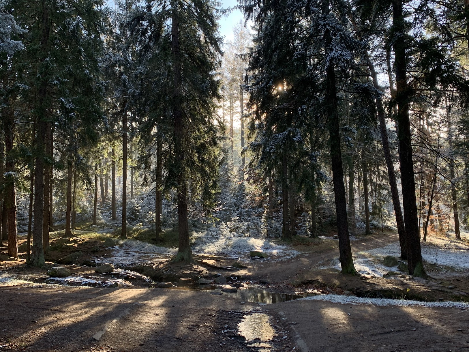 Szlak z Janowic Wielkich na Zamek Bolczów