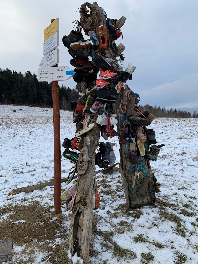 ”Drzewo Sandałowe” na Przełęczy Komarnickiej