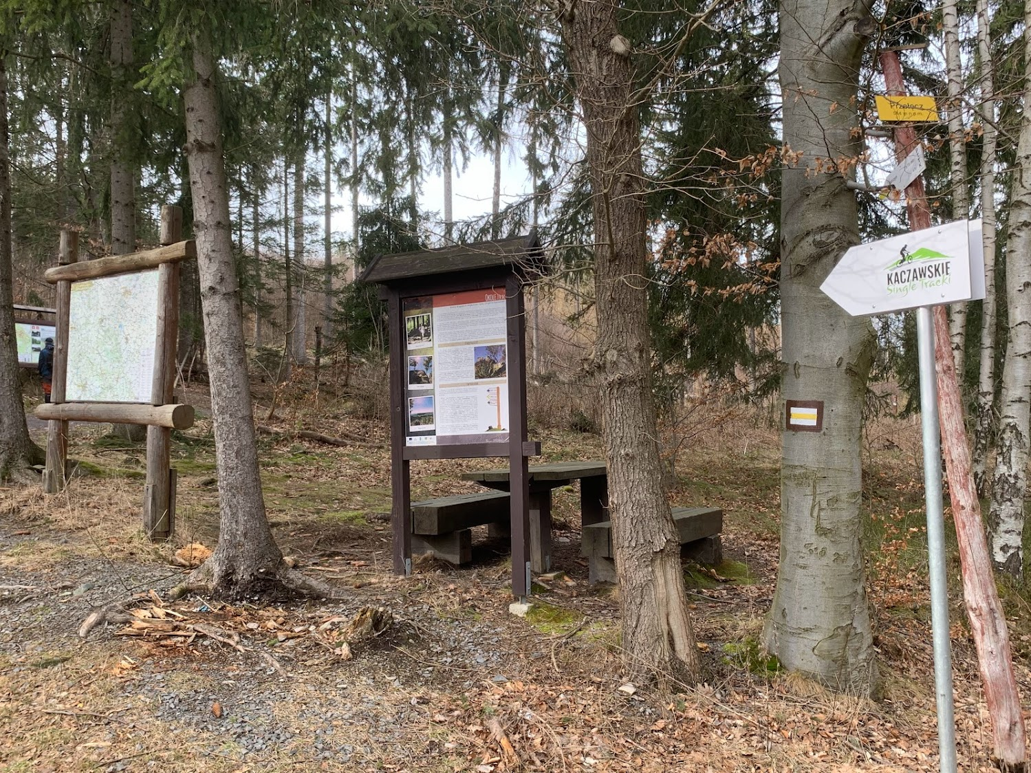 Przełęcz pod Świerkami - początek szlaku na Okole