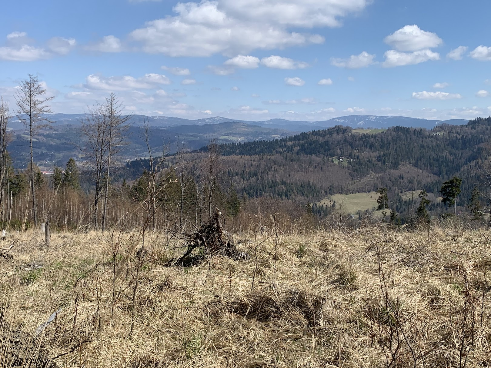 Widok z Przełęczy Beskid