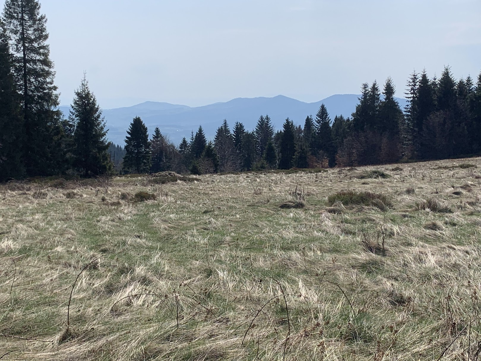 Polana Myconiówka, widok na Pasmo Łososińskie z Jaworzem.