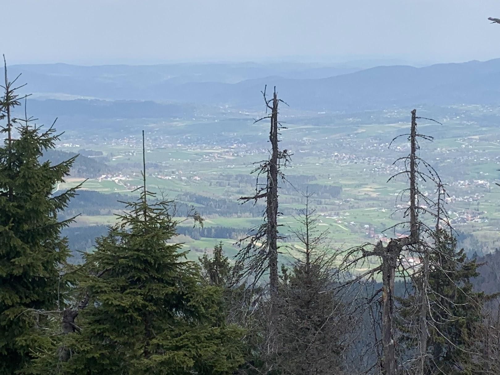 Widok z Mogielicy na północ. Po prawej, w dali - Kostrza.