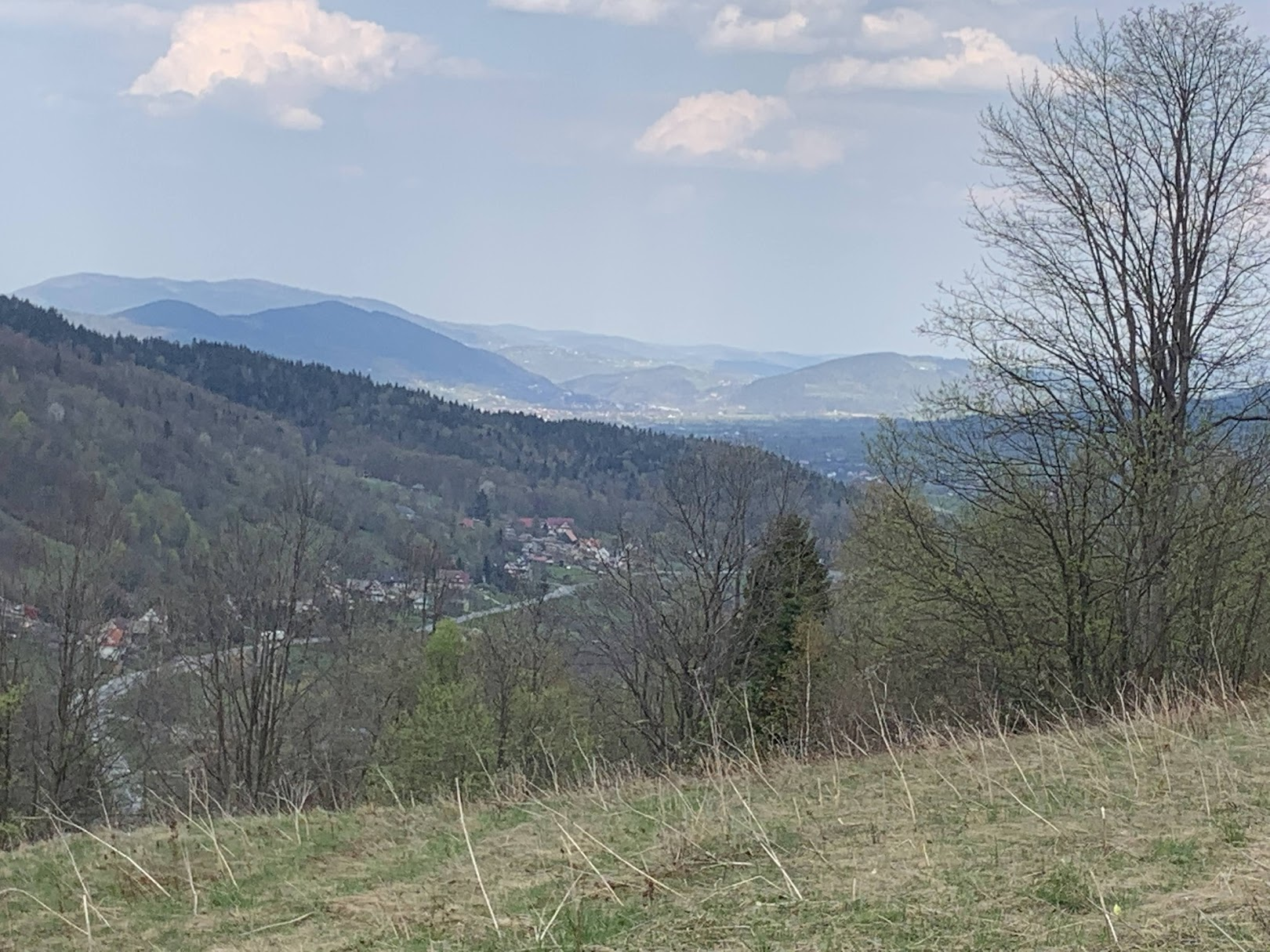 Widok z zejścia z Ćwilina na przełęcz Gruszowiec