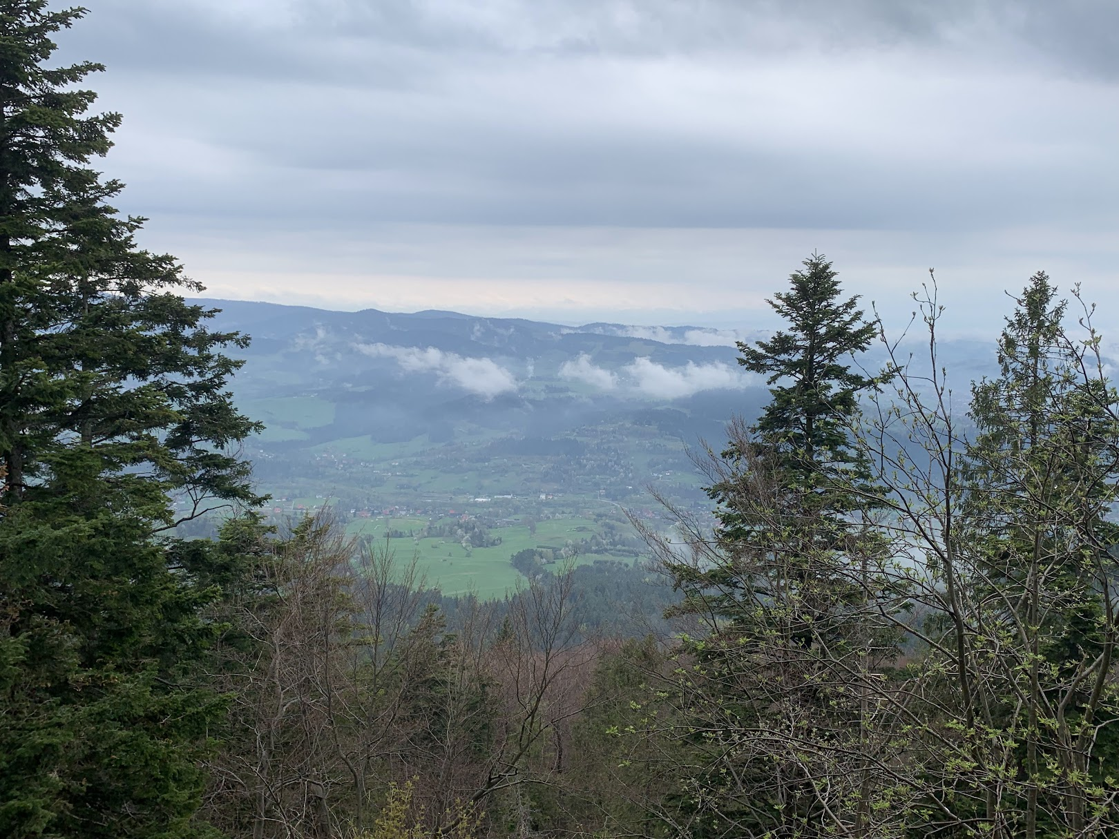 Widok z Perci Borkowskiego. Widać Gorce i jeden z grzbietów Turbacza.