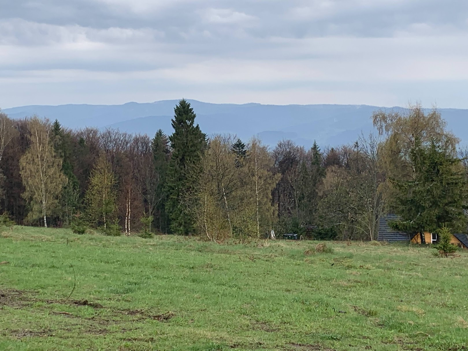 Widok na Gorce z polany Surówka pod Luboniem Małym