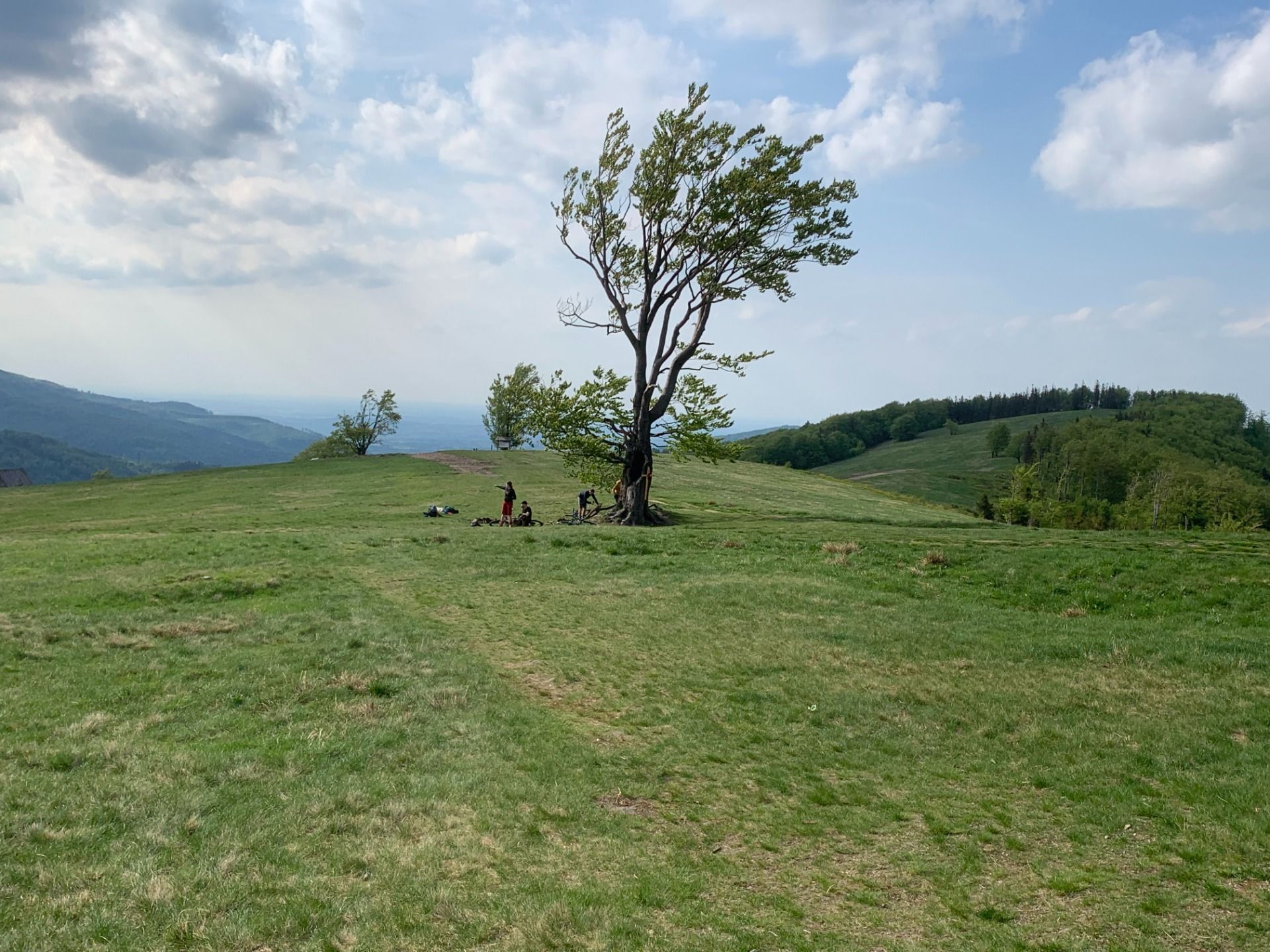 Piękna Hala Jaworowa uratowana. Utopiec na Grabowej, widok na Malinowskiej Skale i ołtarz na Kotarzu