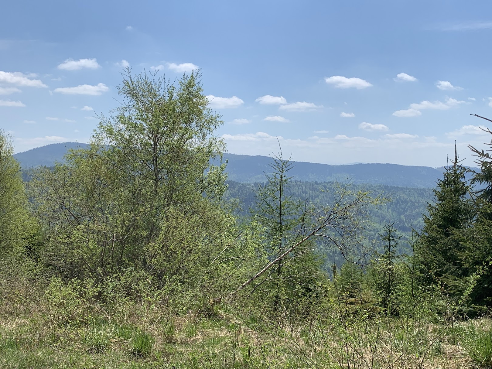 Widok spod Malinowa, góra po lewej to Barania Góra