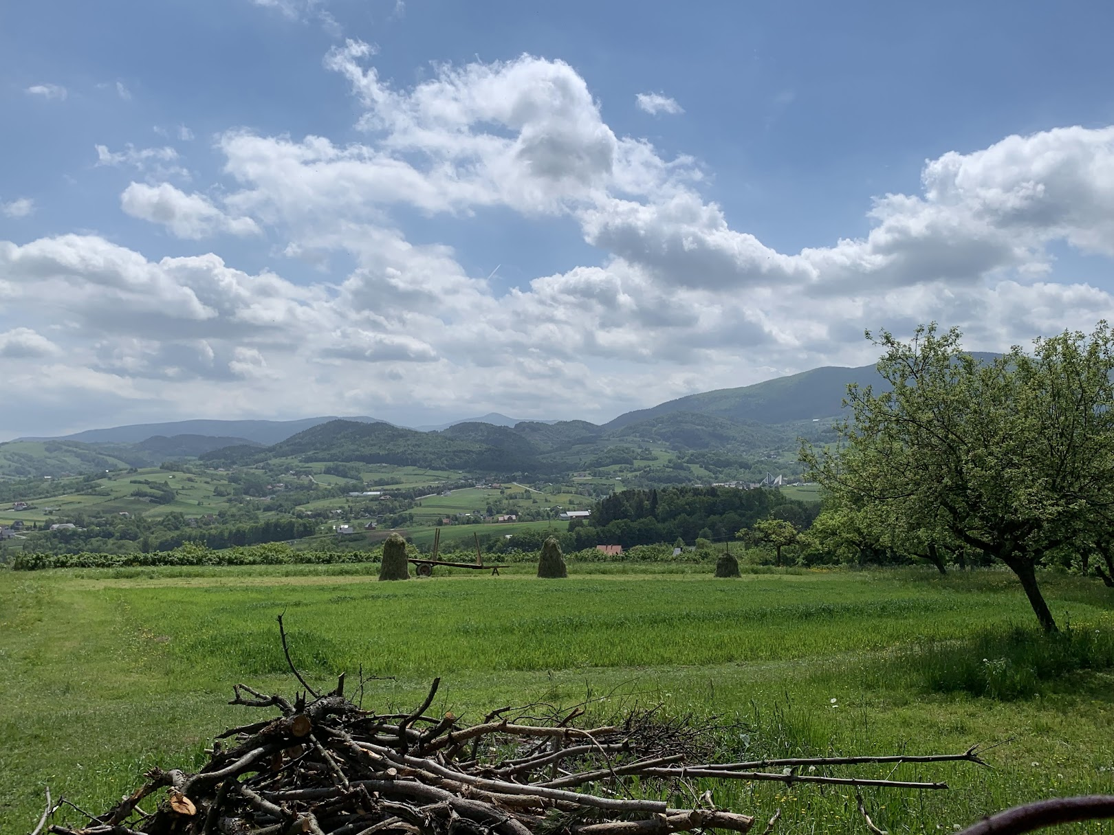 Widok z szlaku z Cietnia do Szczyrzyca, kierunek południowy