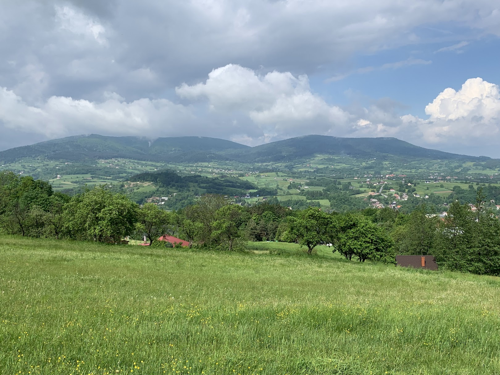 Widok na pasmo Łysiny. W dole Wiśniowa