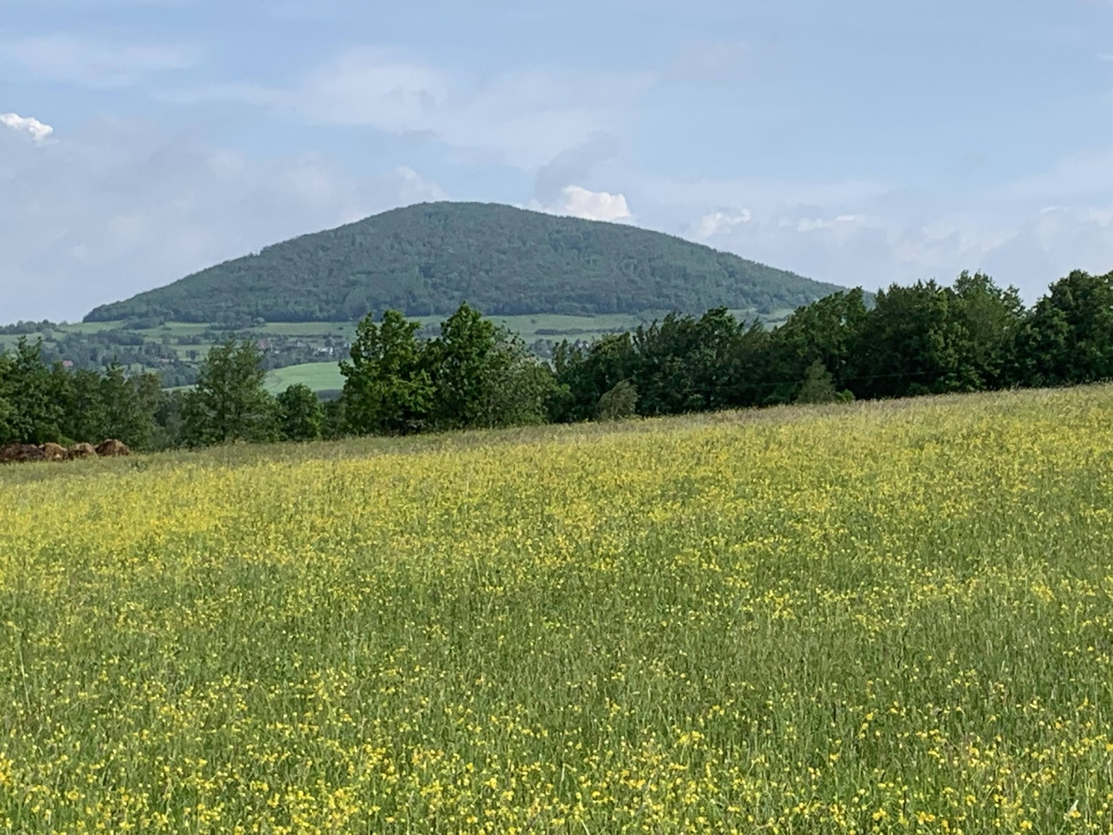 Widok na Grodzisko w paśmie Cietnia