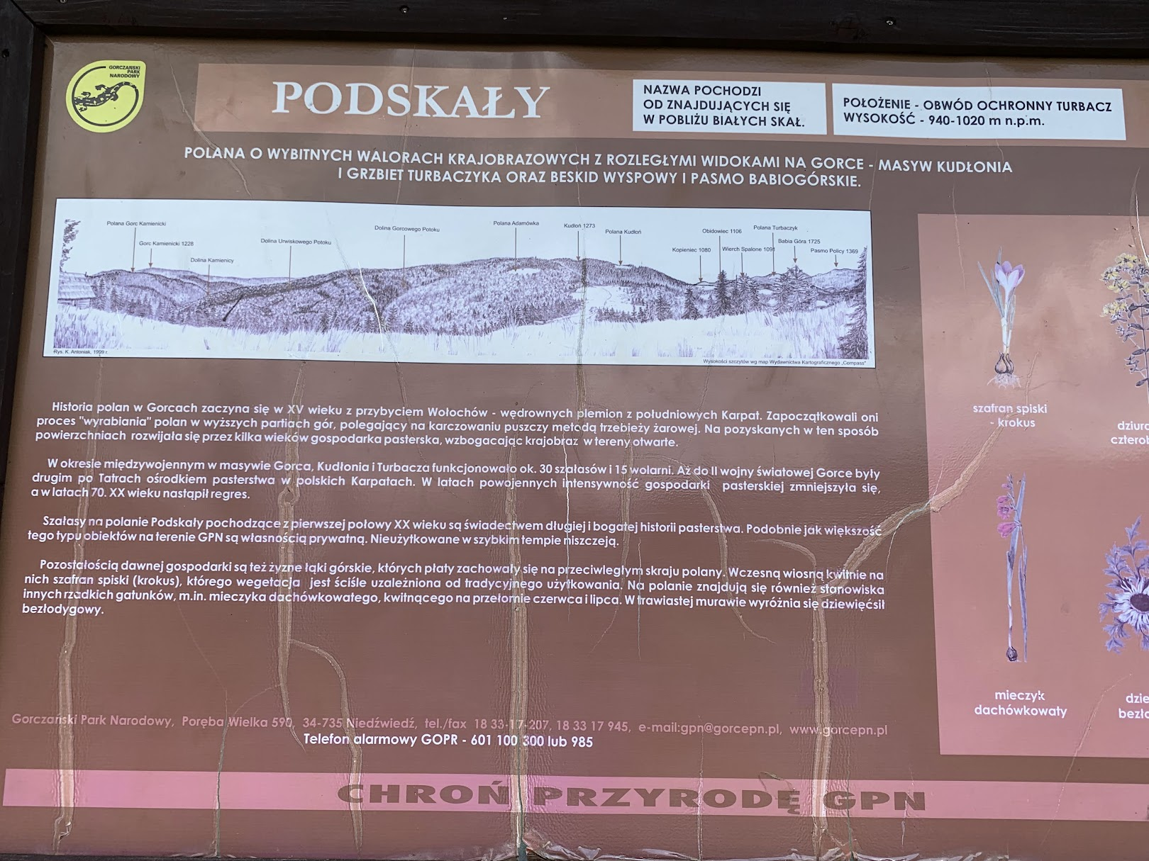 Polana Podskały