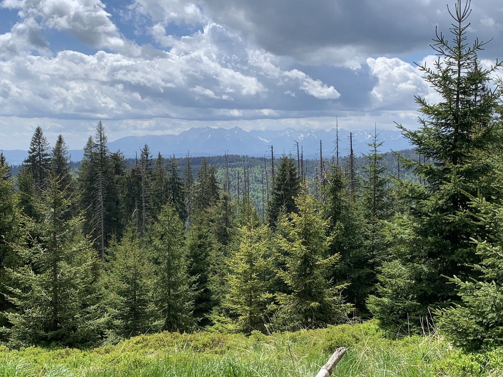 Widok na Tatry spod Kudłonia