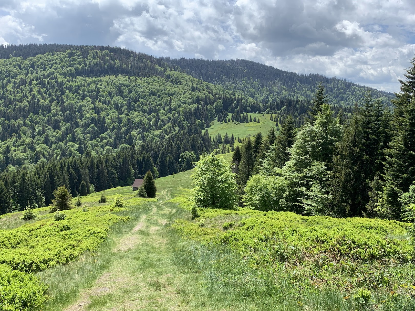 Polana Podskały, widok na Kudłoń