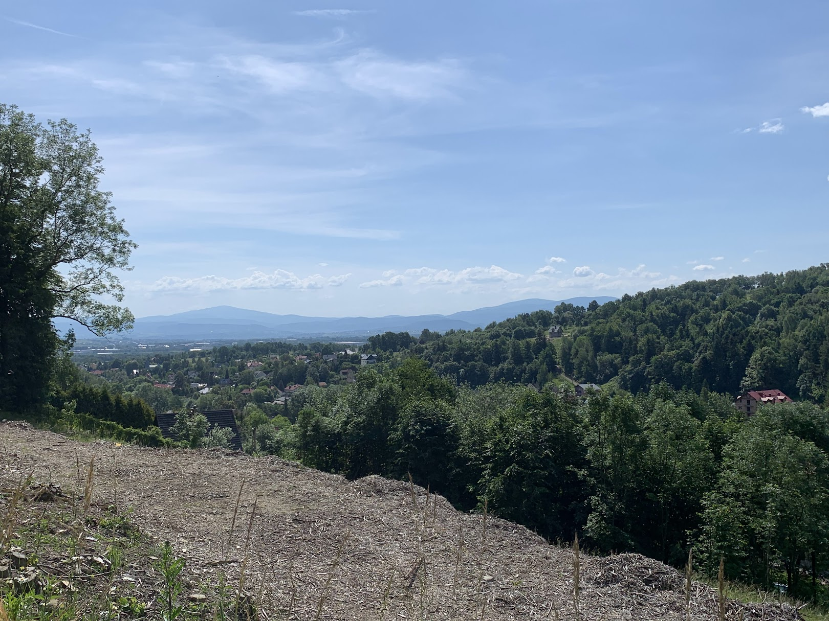 Pierwszy widok - Babia Góra (szlak z Bystrej na Kozią Górę)