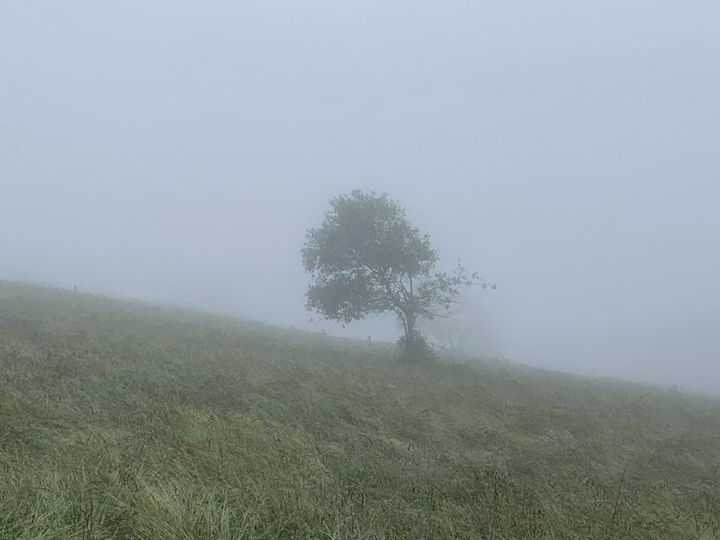 Partyzant, baca i zbójnik. Zamglone Gorce bez panoram ale za to pełne tajemnic.