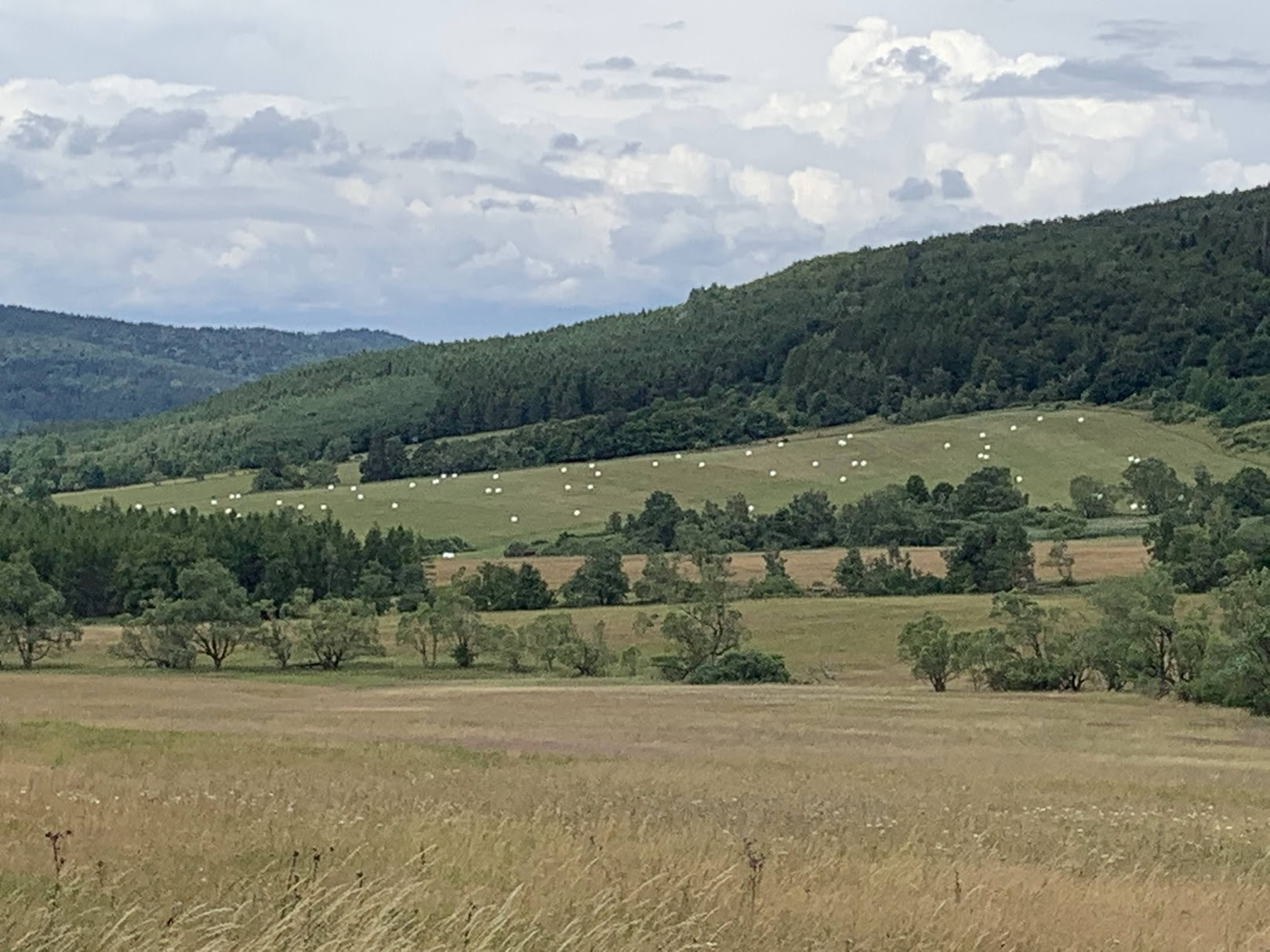 Przełęcz Beskid - na pierwszym planie Polska, w dali Słowacja