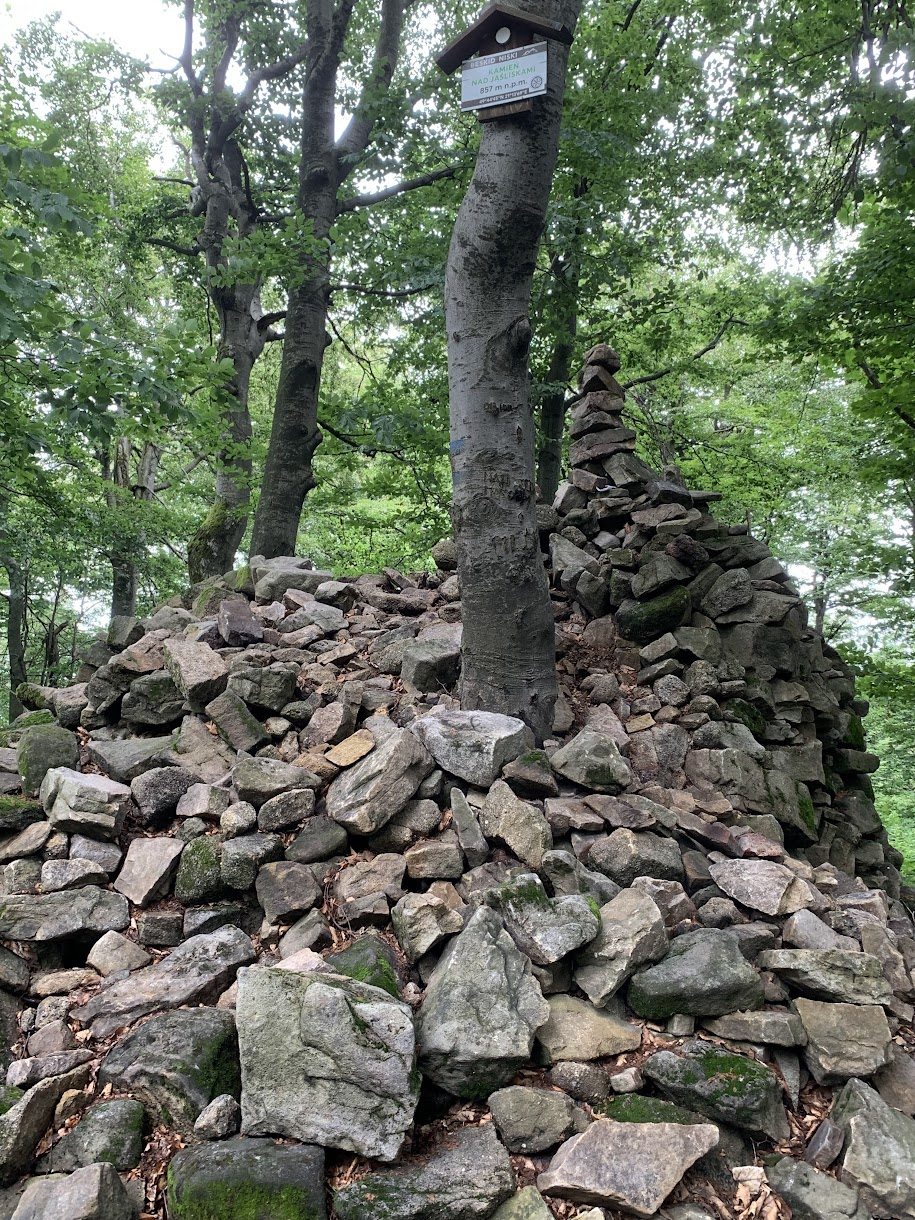 Kamień nad Jaśliskami 857m n.p.m.