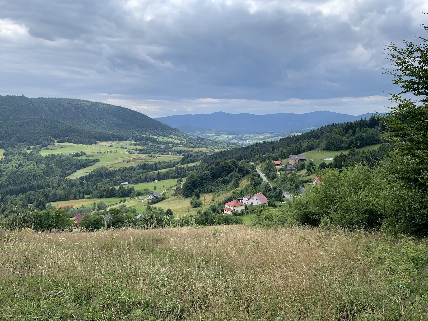 Widok z przełęczy pod Ostrą