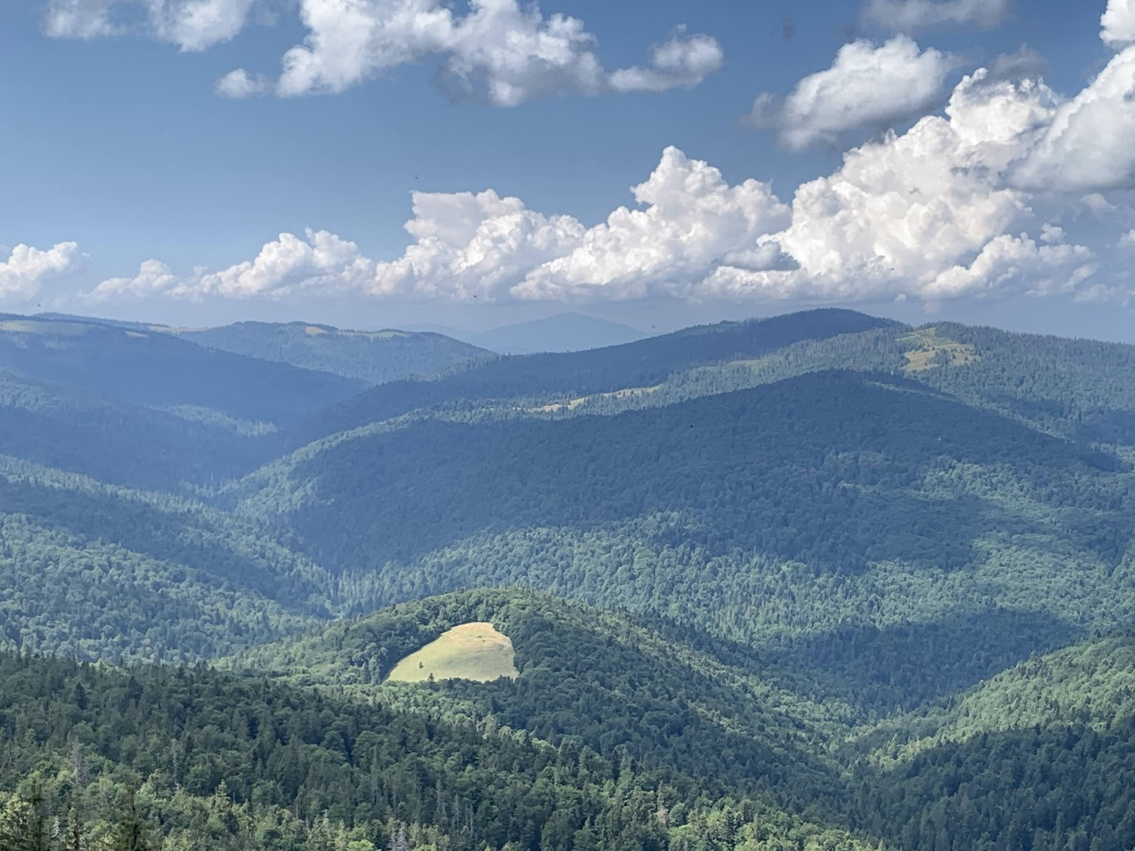 Widok z Gorca na zachód. W centrum, w oddali - Babia Góra.