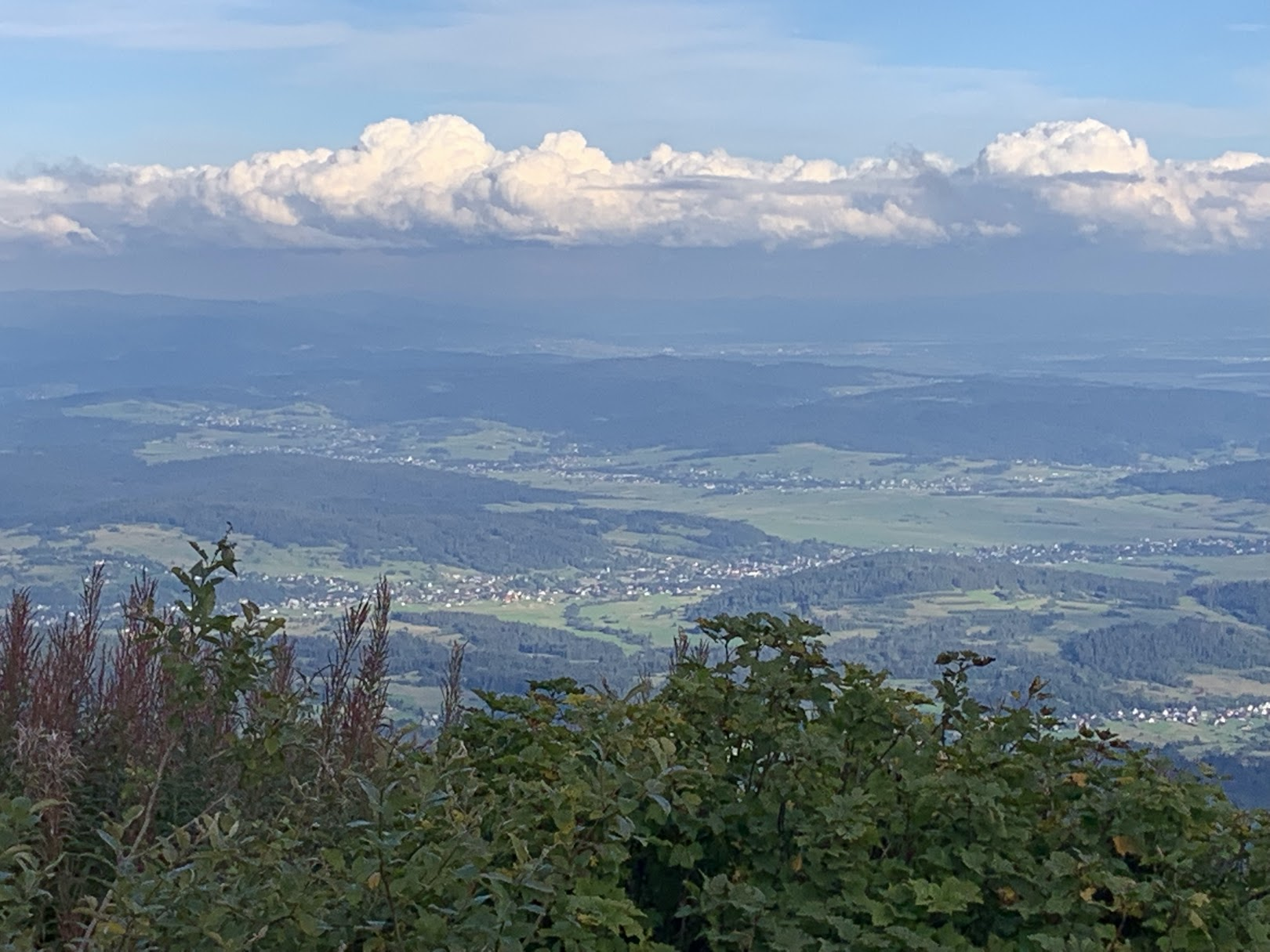 Widok na Działy Orawskie