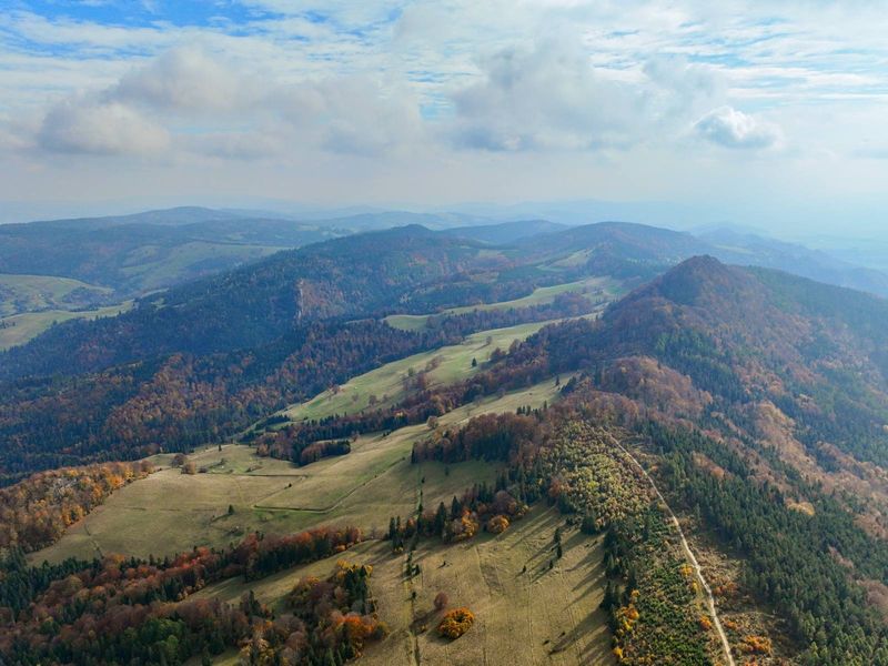 Pieniny Małe z wysoka. Homole, Wysoka i złoto-polsko-jesienny spacer przez Durbaszkę do Szczawnicy.
