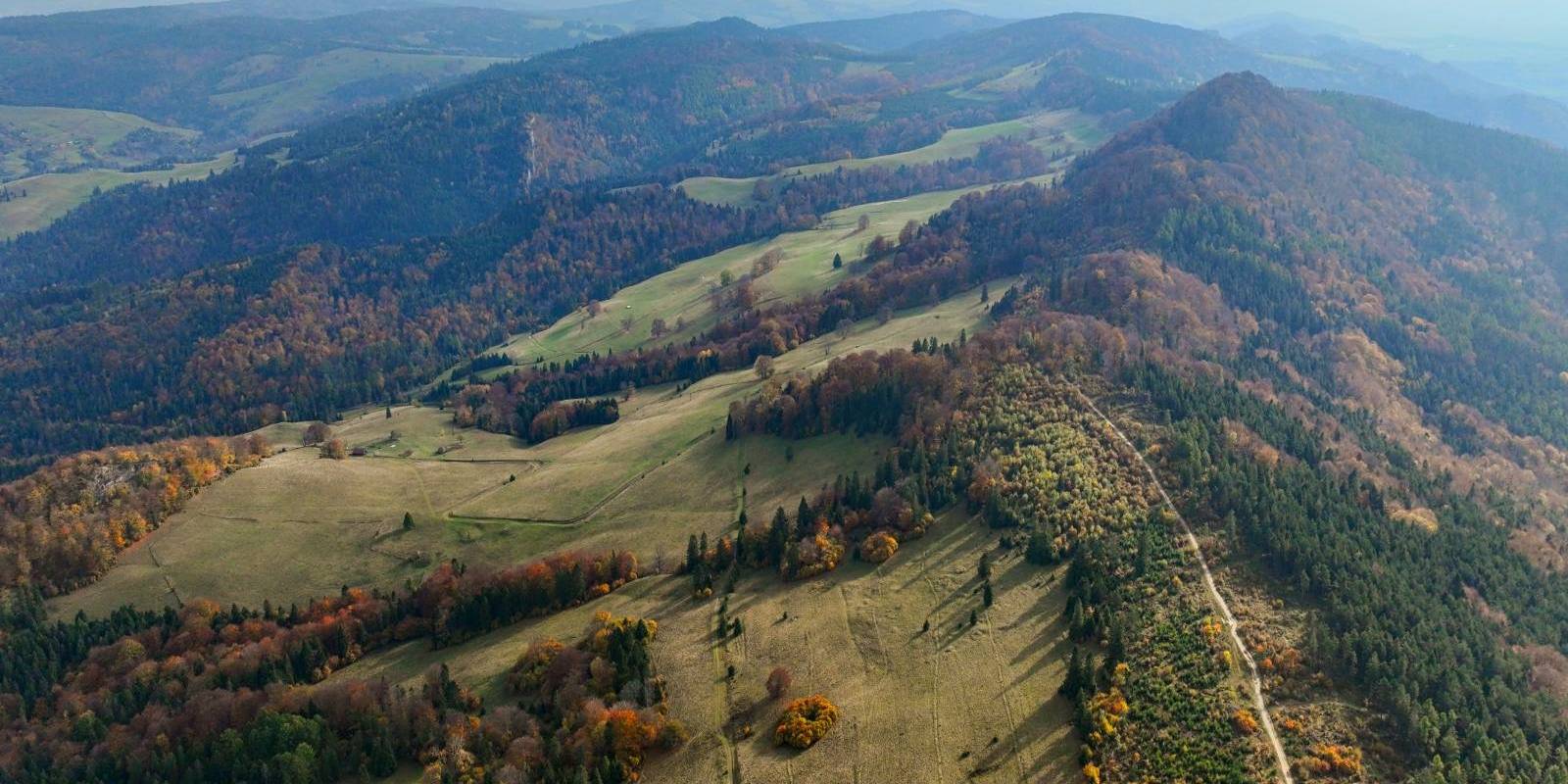 Pieniny Małe z wysoka. Homole, Wysoka i złoto-polsko-jesienny spacer przez Durbaszkę do Szczawnicy.
