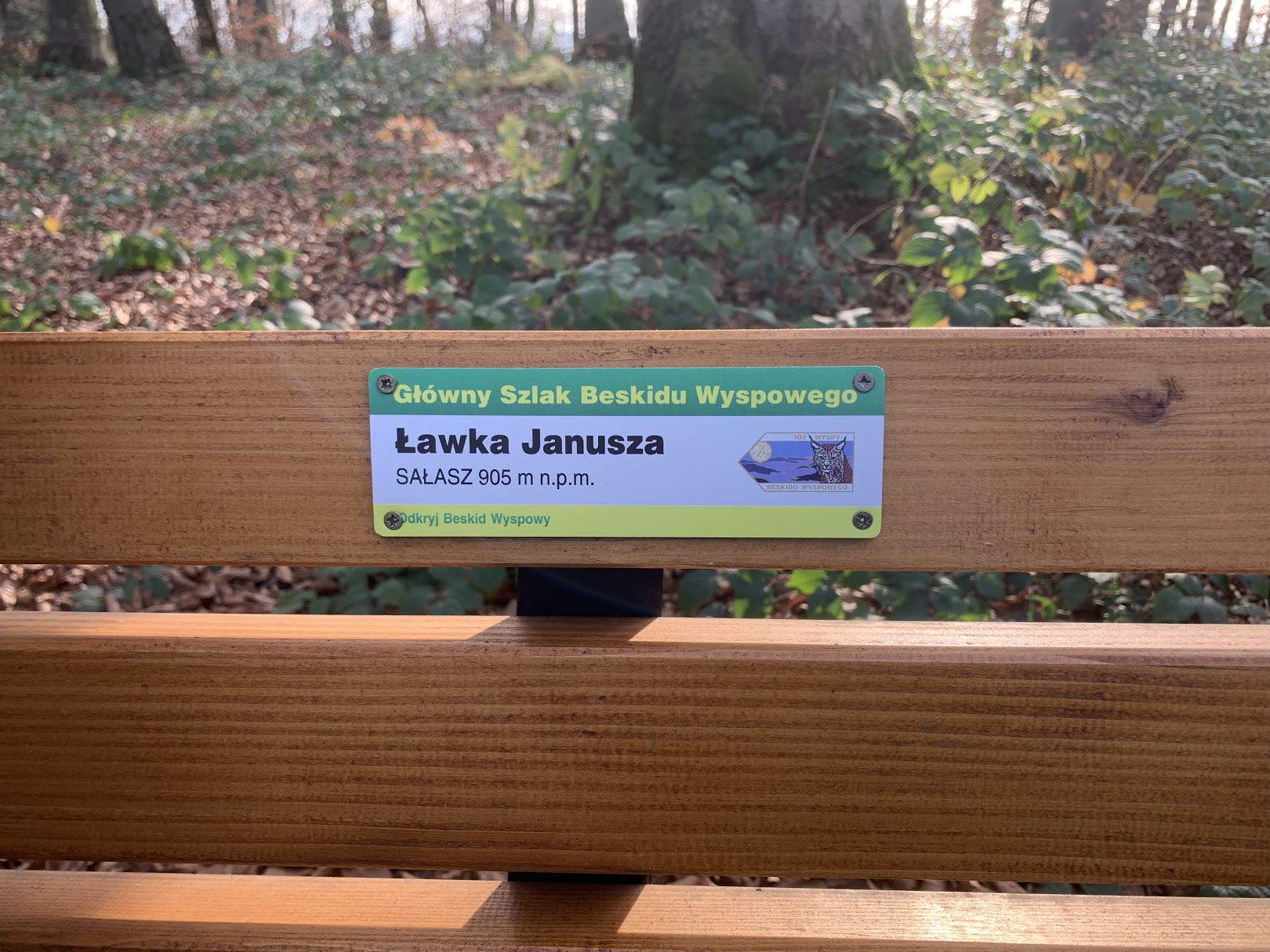Ławka Janusza na Sałaszu