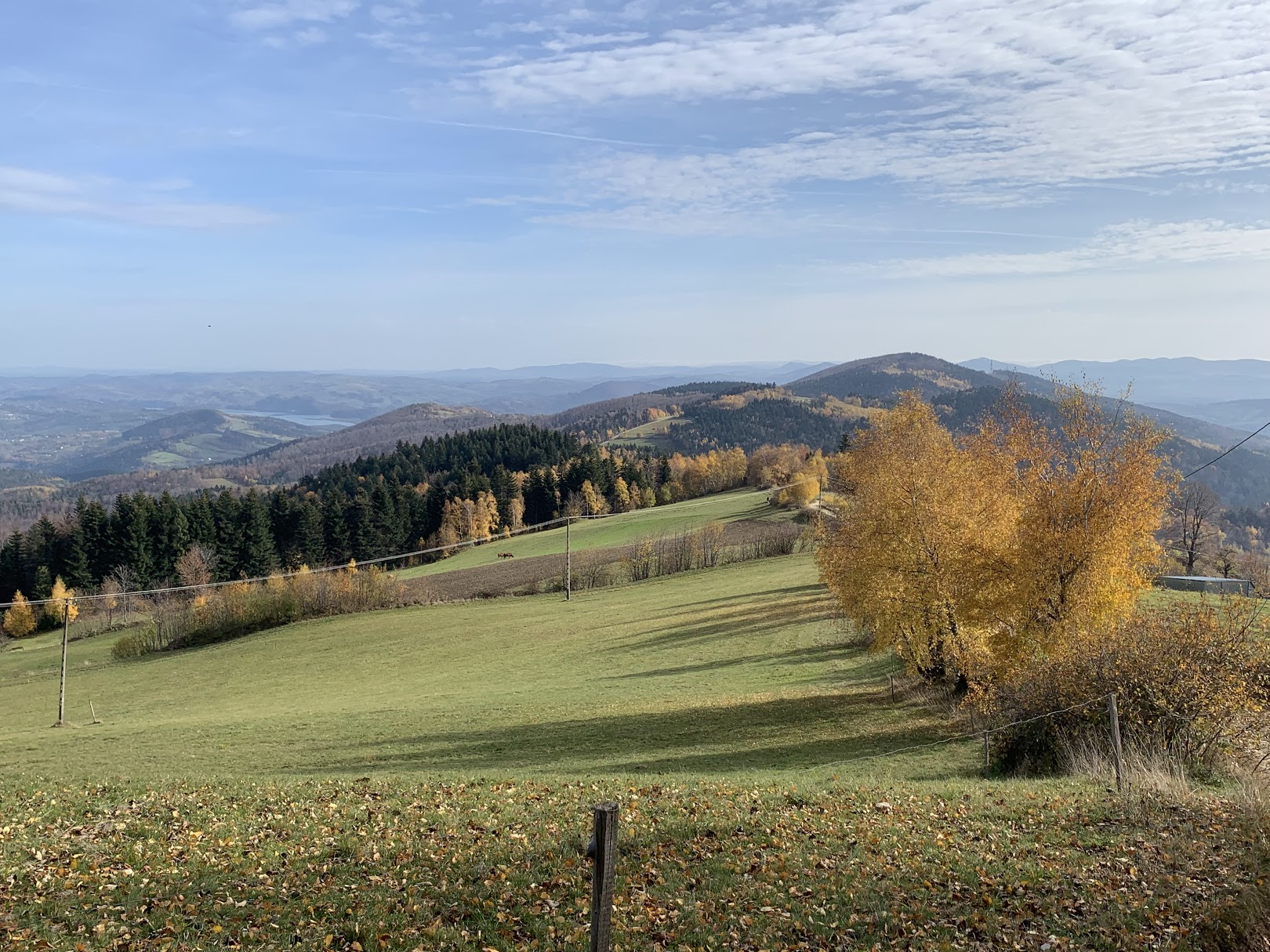 Babia Góra w jesiennej szacie widziana z Jaworza. W obniżeniu po lewej - jezioro Rożnowskie.