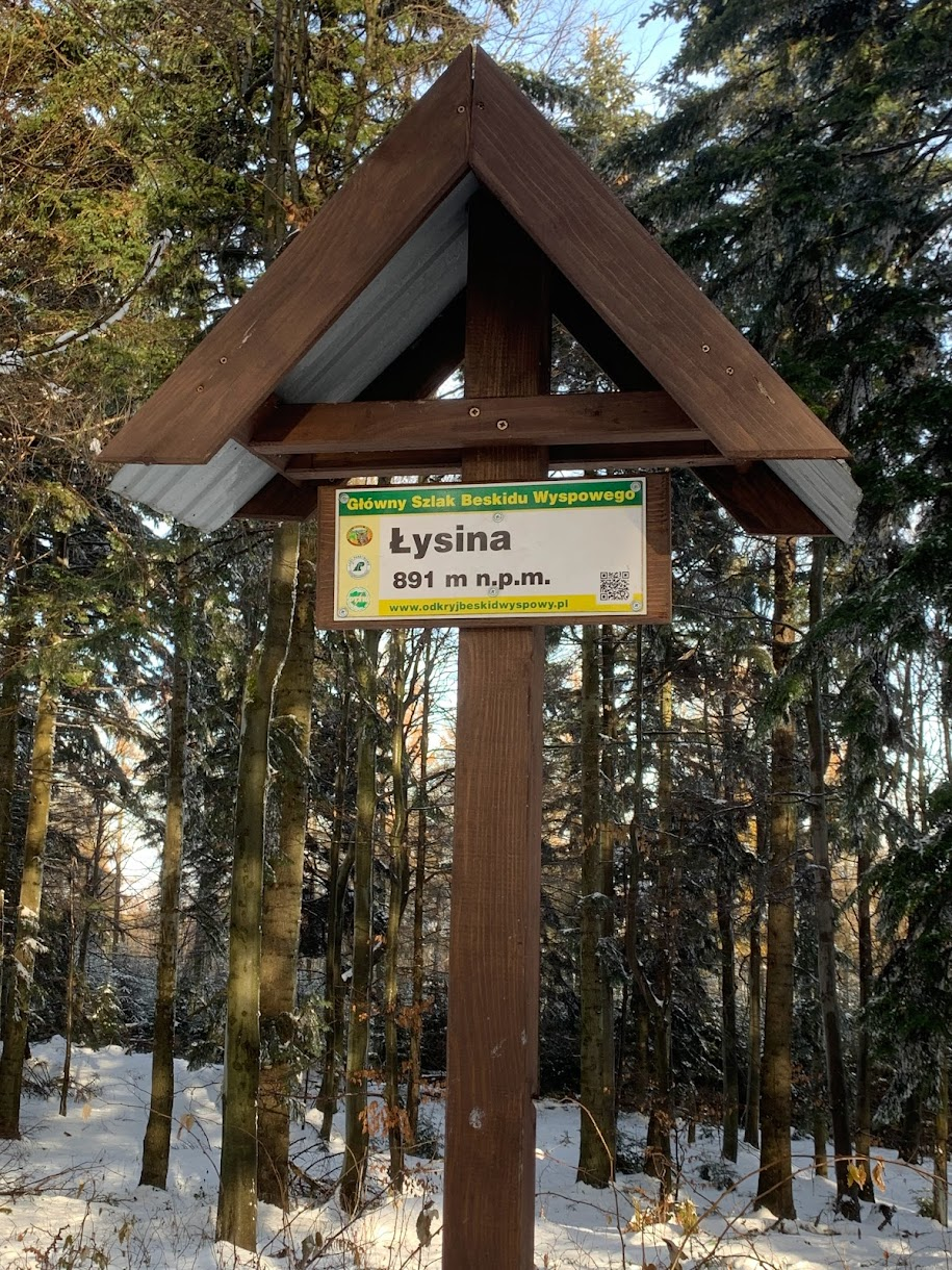 Łysina w paśmie Łysiny i Lubomira - Beskid Makowski