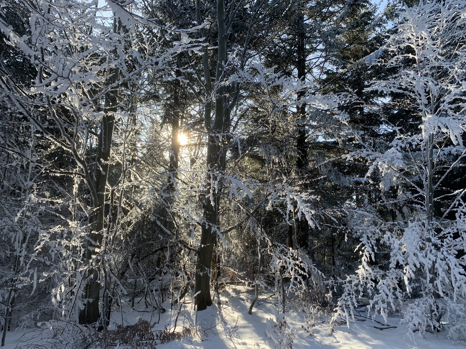 Na szlaku pod Lubomirem, Beskid Makowski