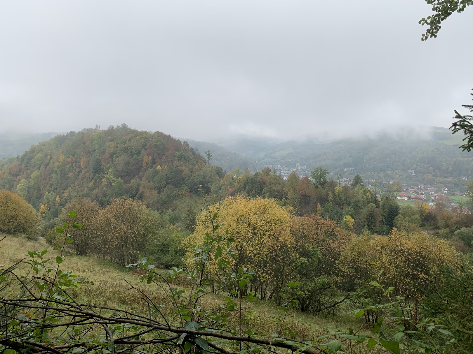 Nad Tylmanową. Na pierwszym planie Brzezie, 474m.