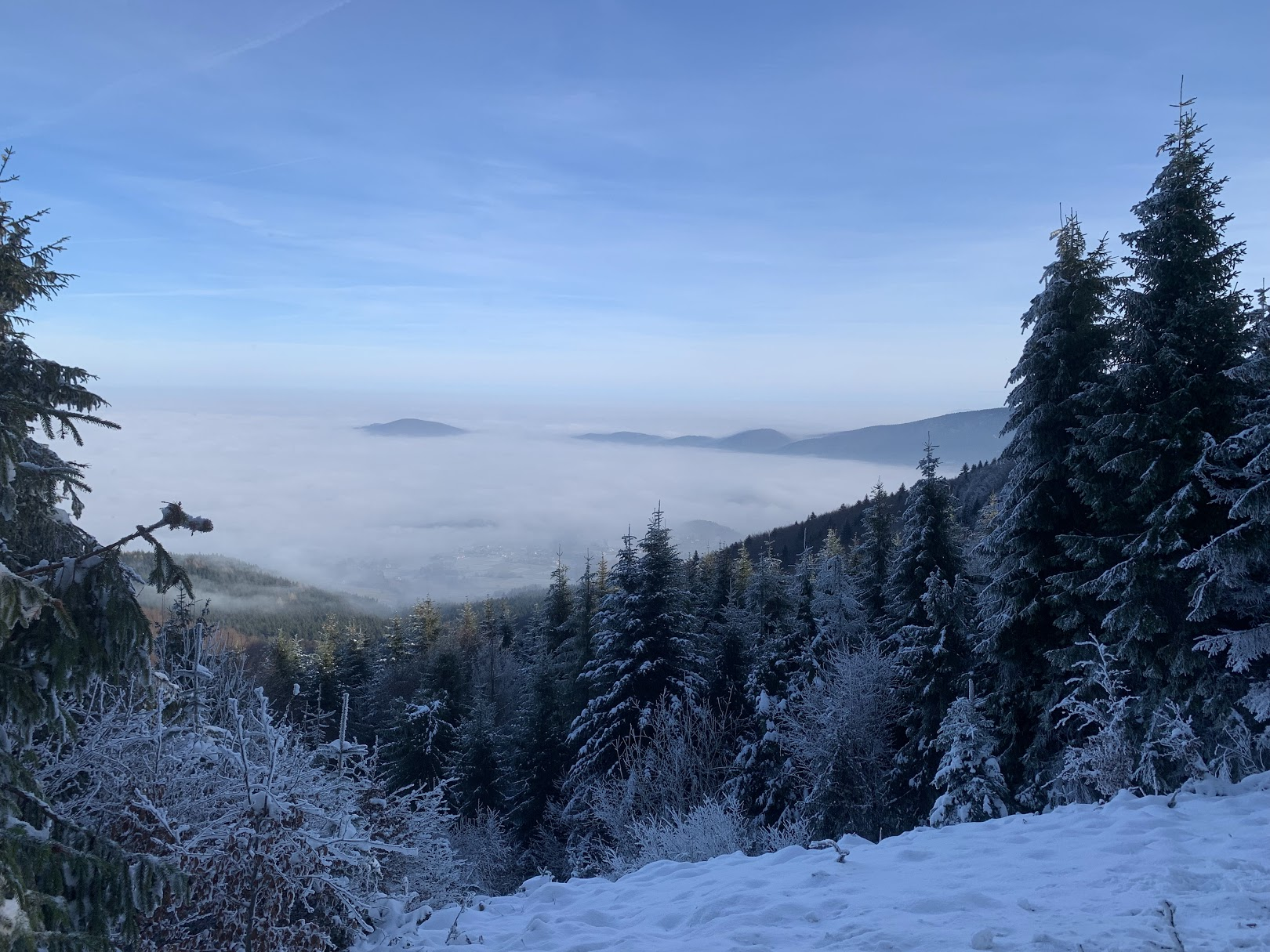 Widok na Beskid Wyspowy (pasmo Cietnia) z Beskidu Makowskiego (okolice Lubomira)