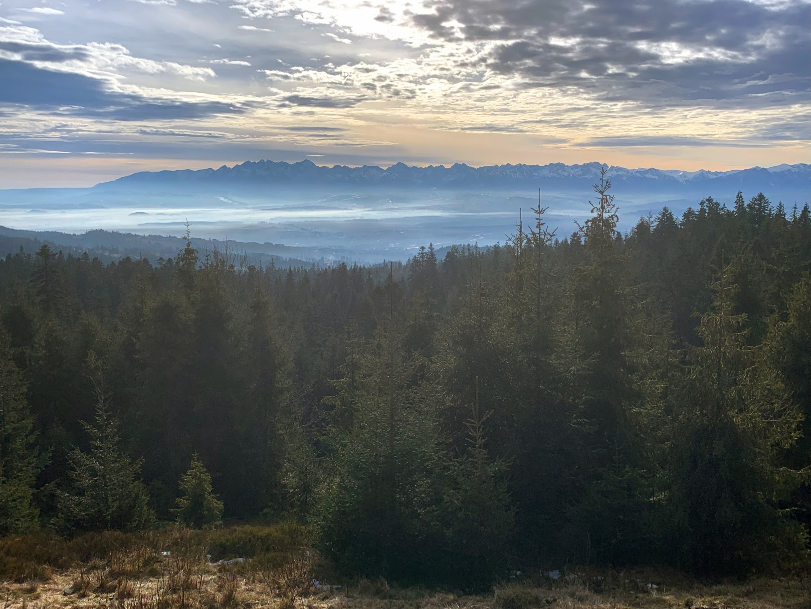 Tatry widziane z Koliby na Łapsowej Polanie