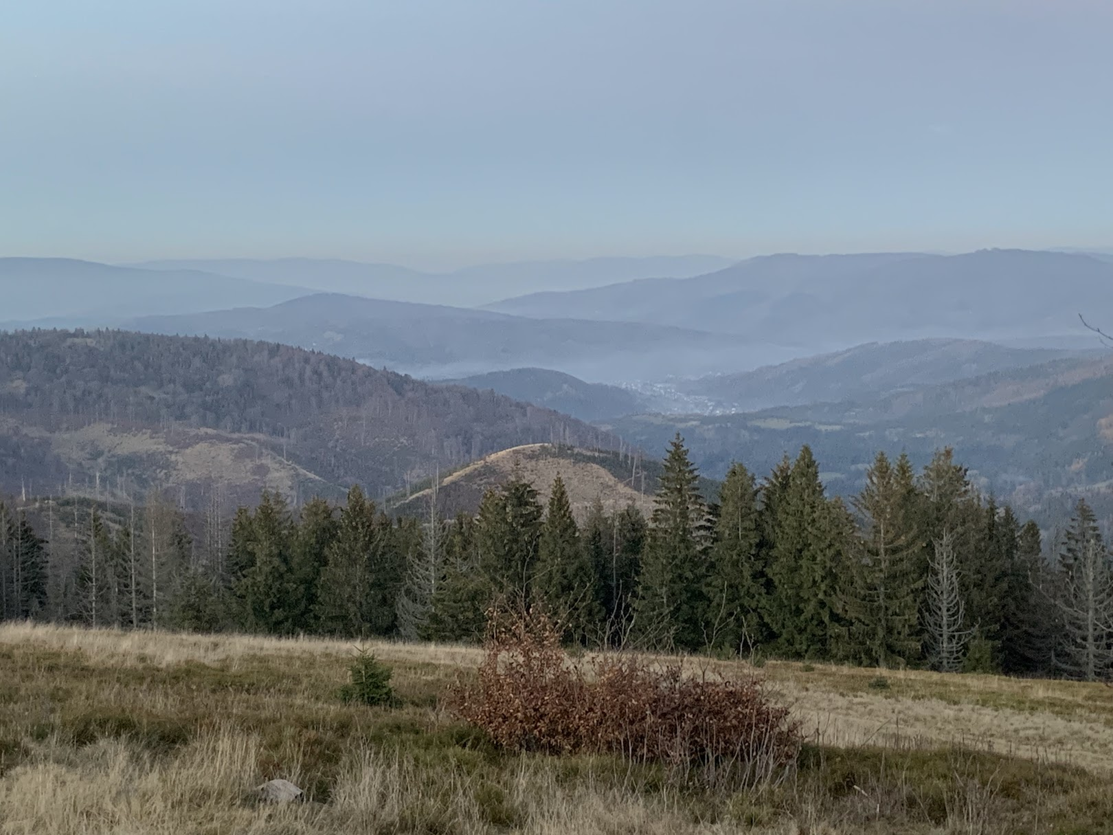 Widok z Bendoszki Wielkiej na północ