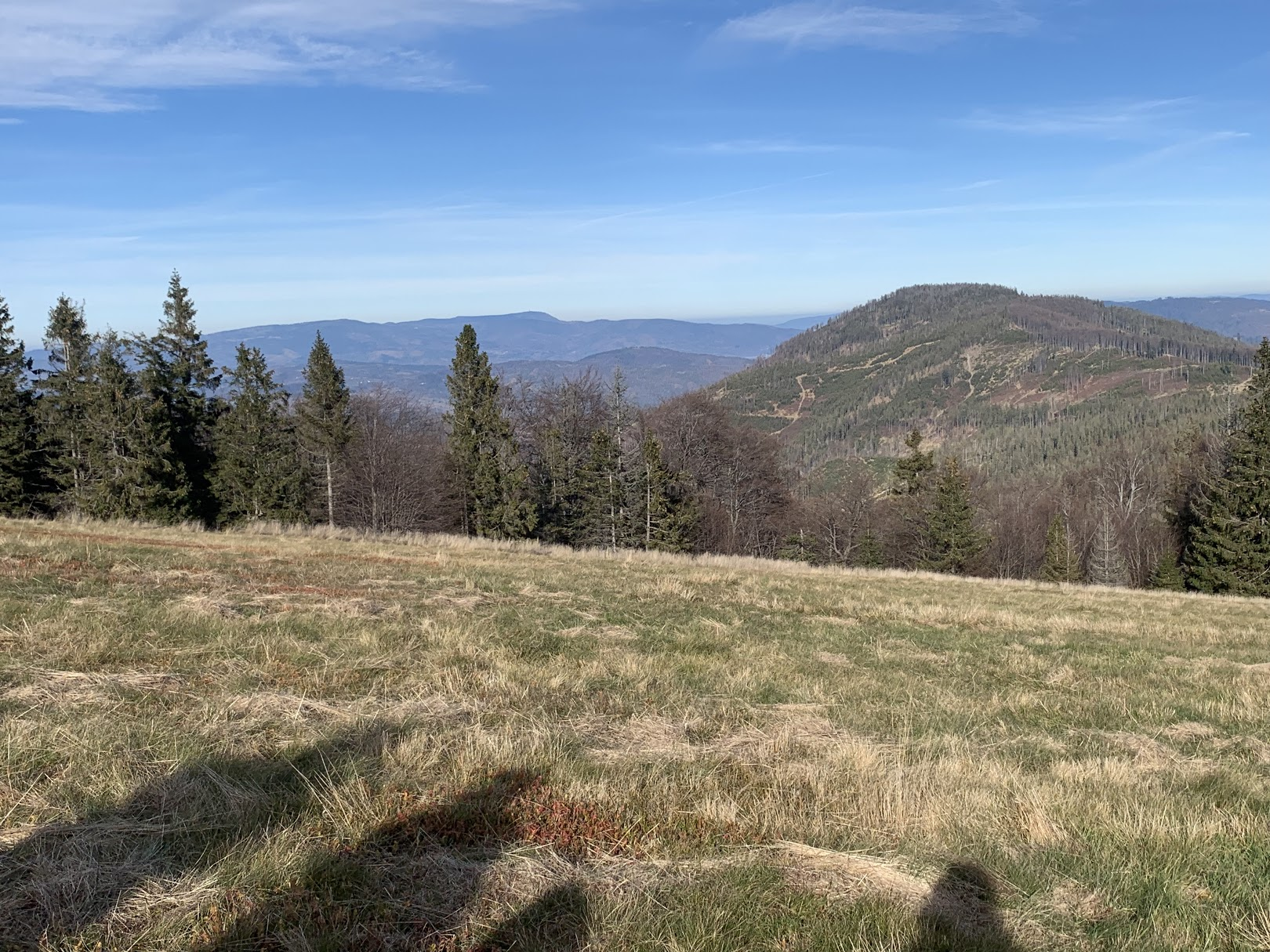 Hala Rycerzowa, widok na Muńcuł. W dali po lewej - Beskid Śląski z Skrzycznem