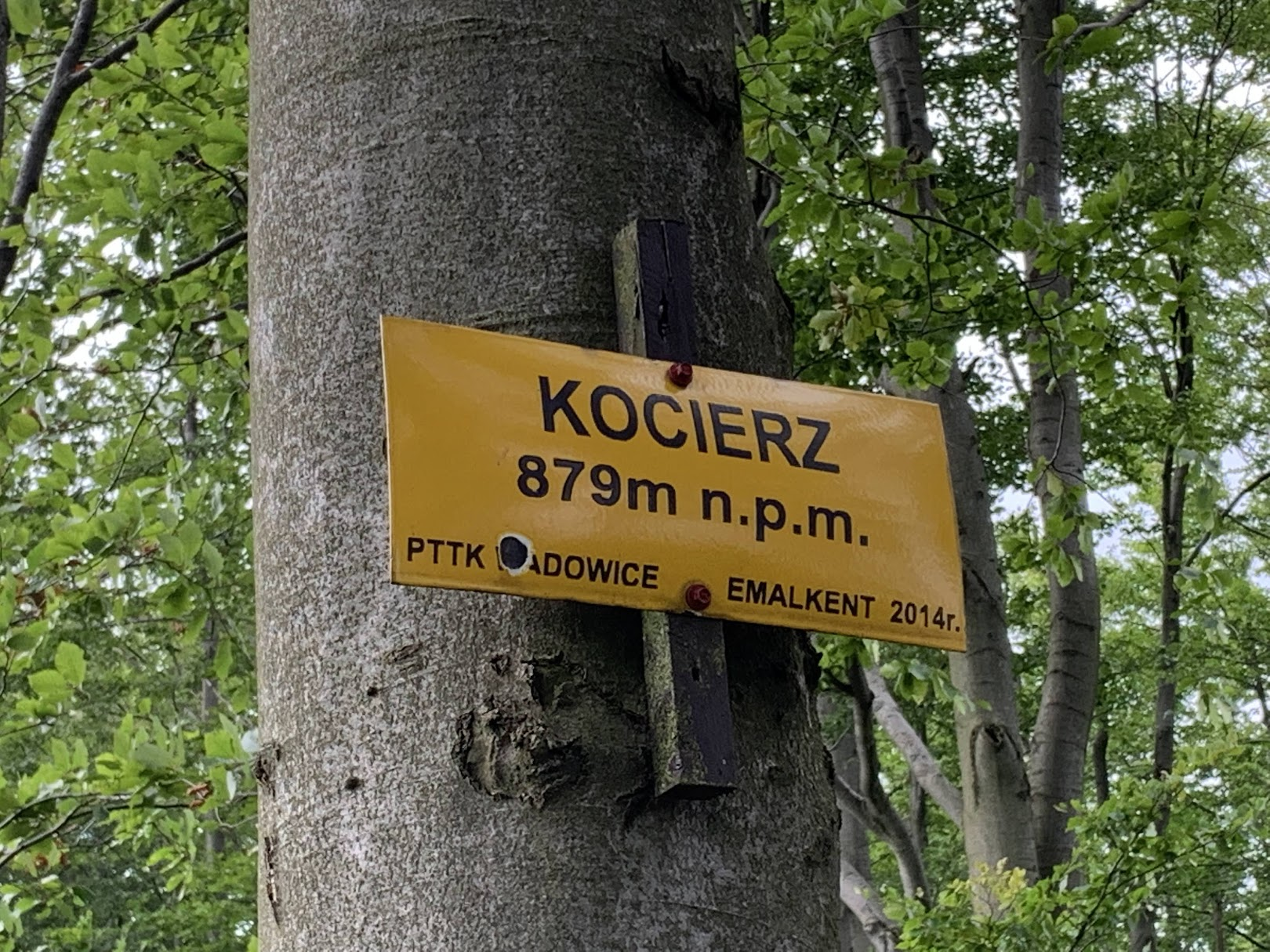 Kocierz, 870m n.p.m.