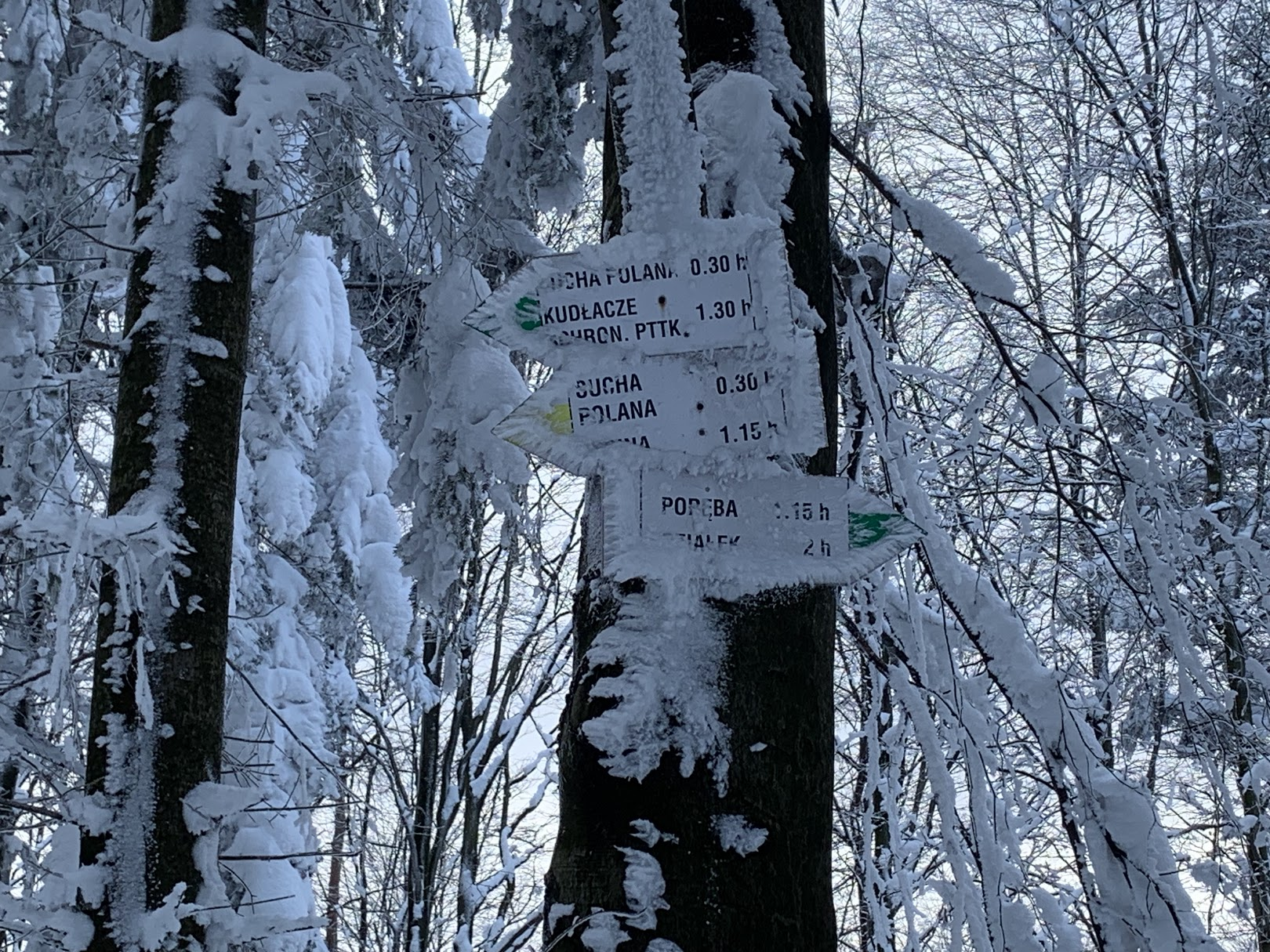 Pomiędzy Kamiennikiem Płd a Płn - odejście szlaku żółtego (Wieliczka - Sidzina)